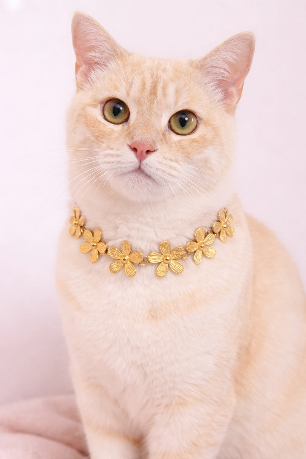 ChatGPT Image Dec 17, 2025, 12_00_30 PM