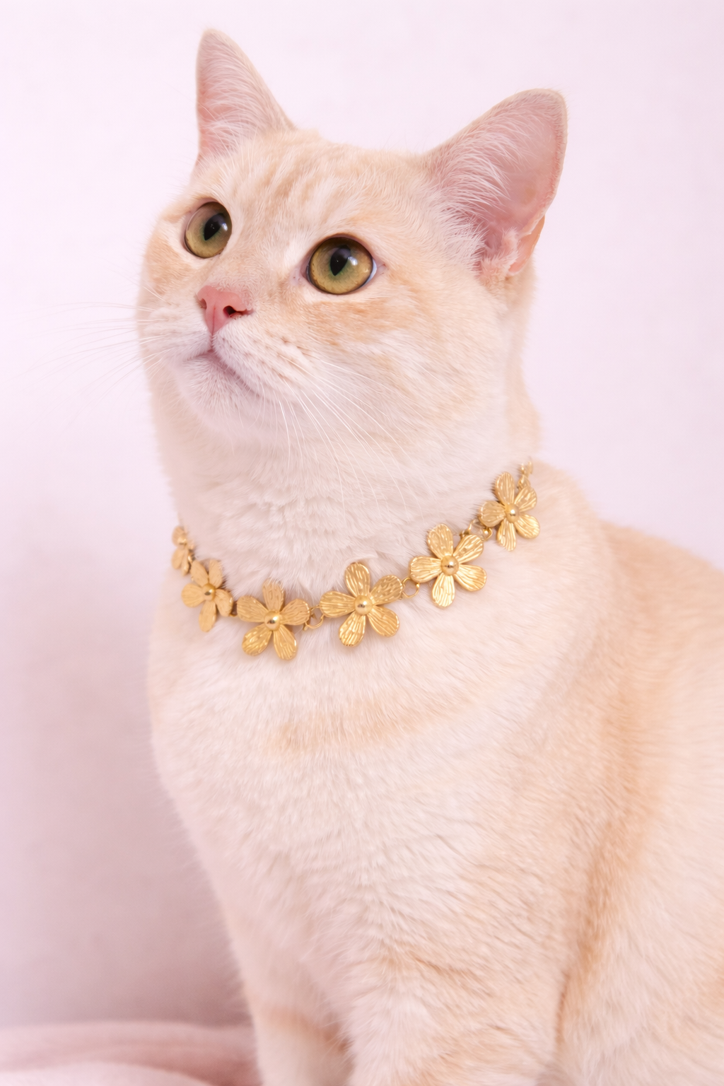 ChatGPT Image Dec 17, 2025, 12_02_32 PM