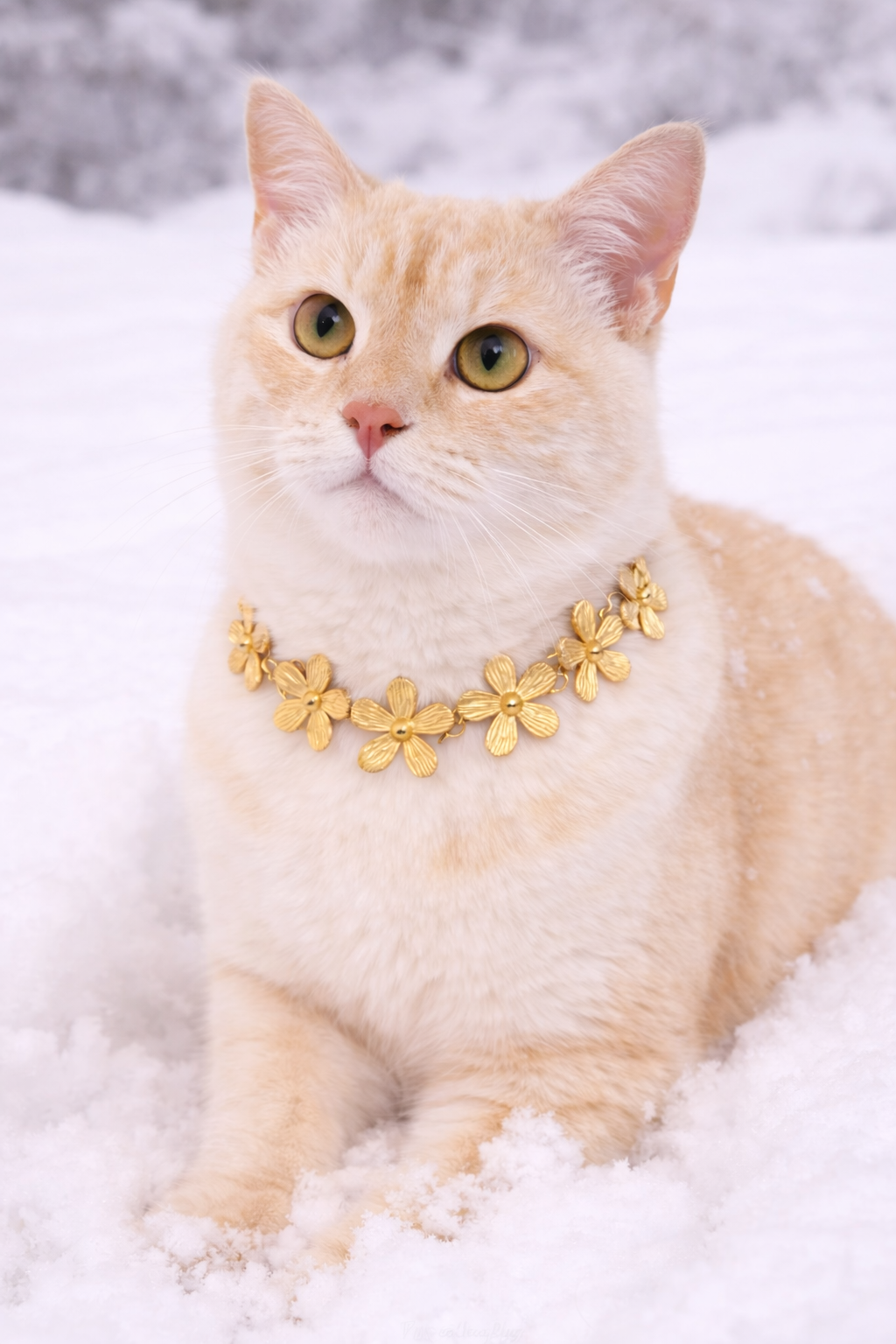 ChatGPT Image Dec 17, 2025, 12_04_13 PM