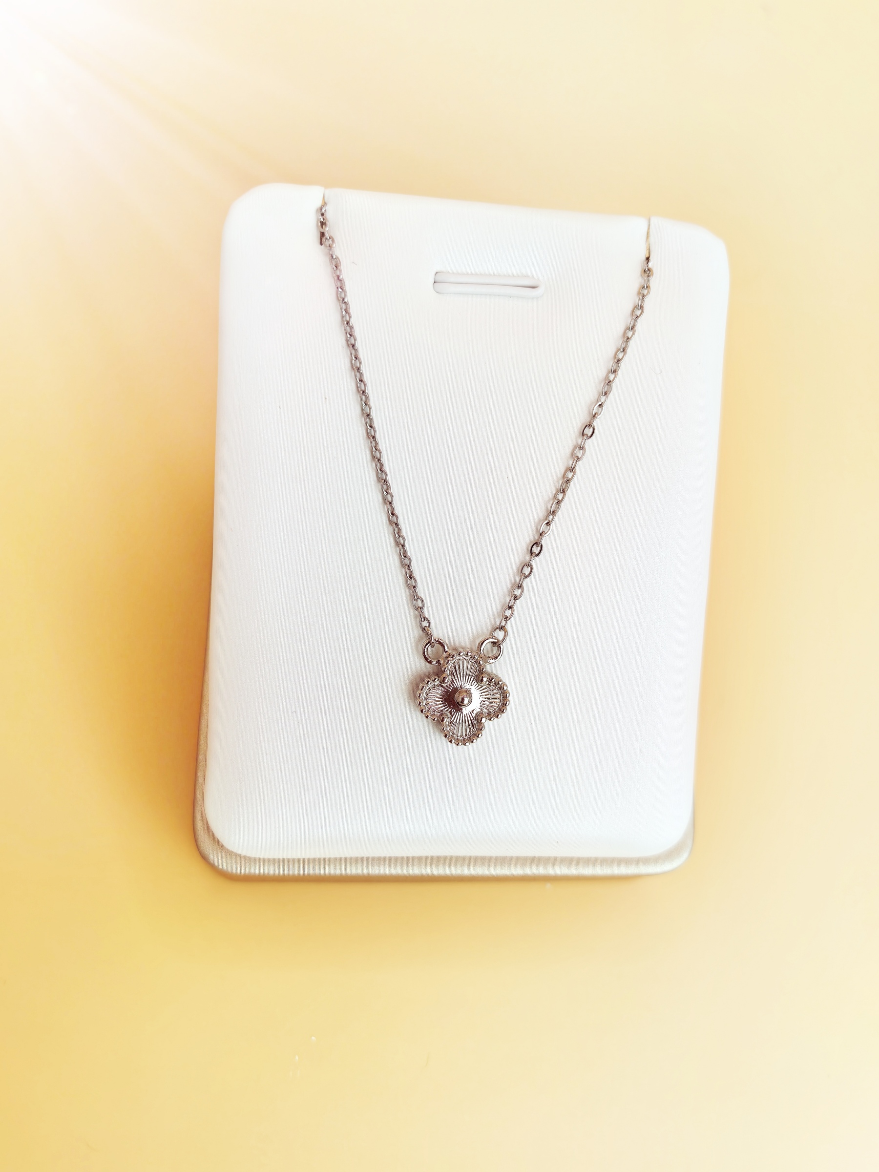 IMG_20260225_151918_edit_67316942310947