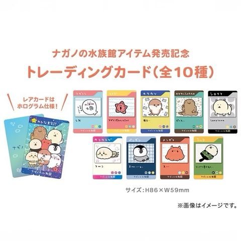 tw-11134207-7rbk0-m6wq375bqb7j89