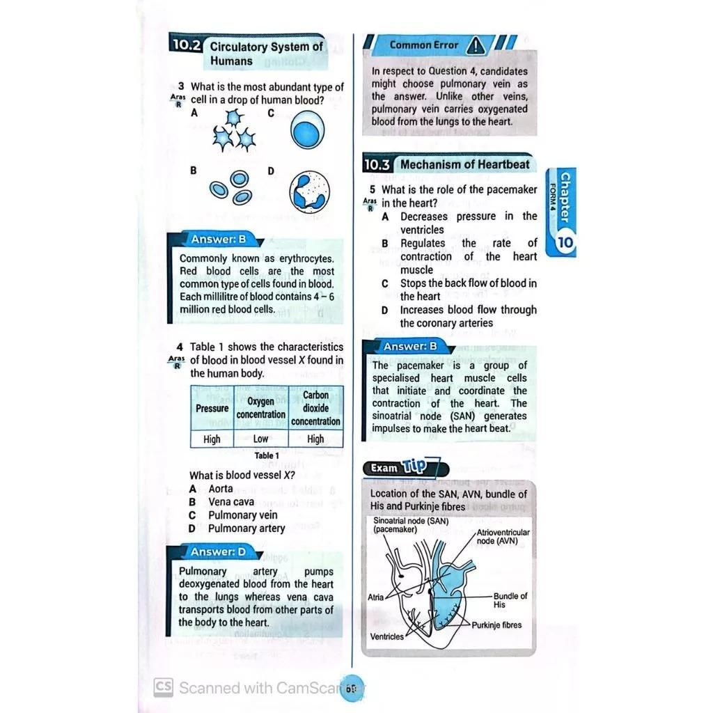 e71e64ff0f0e4b3fb5fd9865cf9f4679~tplv-aphluv4xwc-origin-jpeg