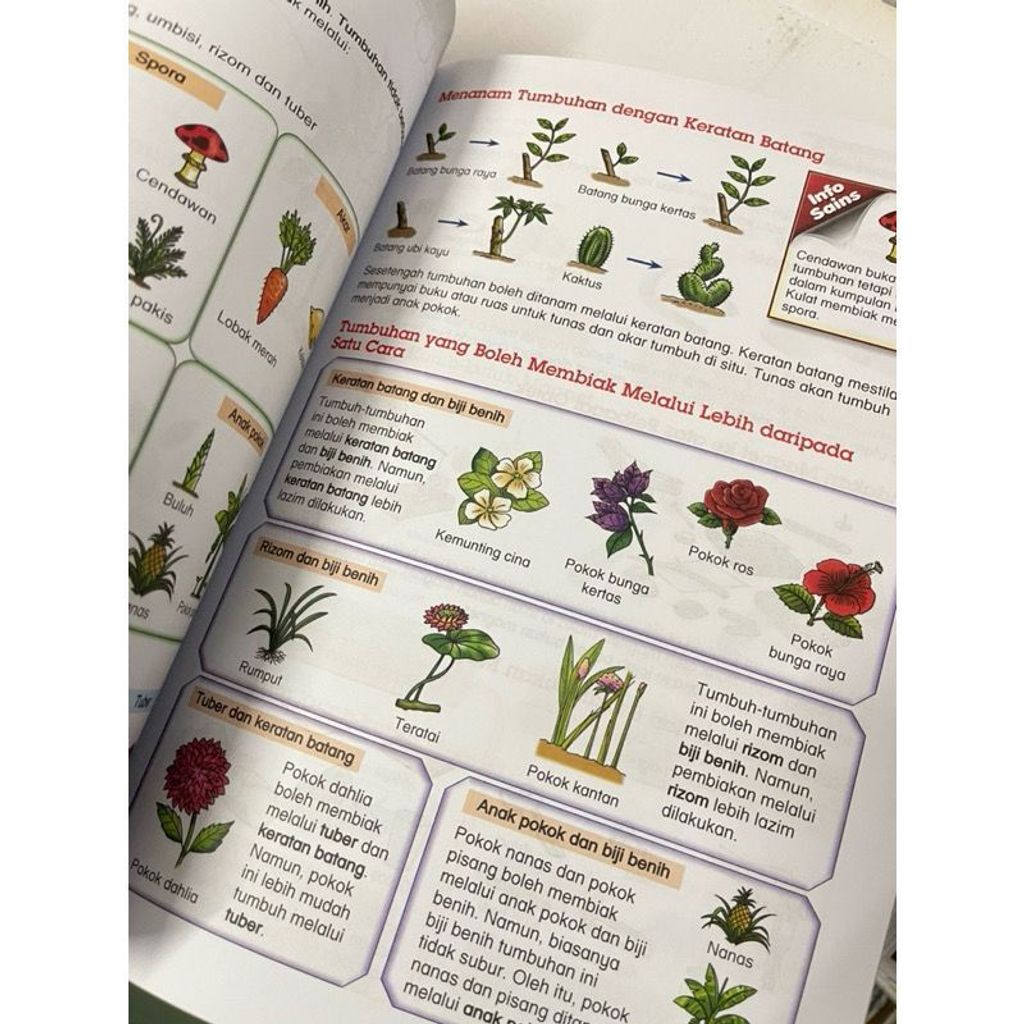 3f4978318f514611a157f9dd4f5d0815~tplv-aphluv4xwc-origin-jpeg