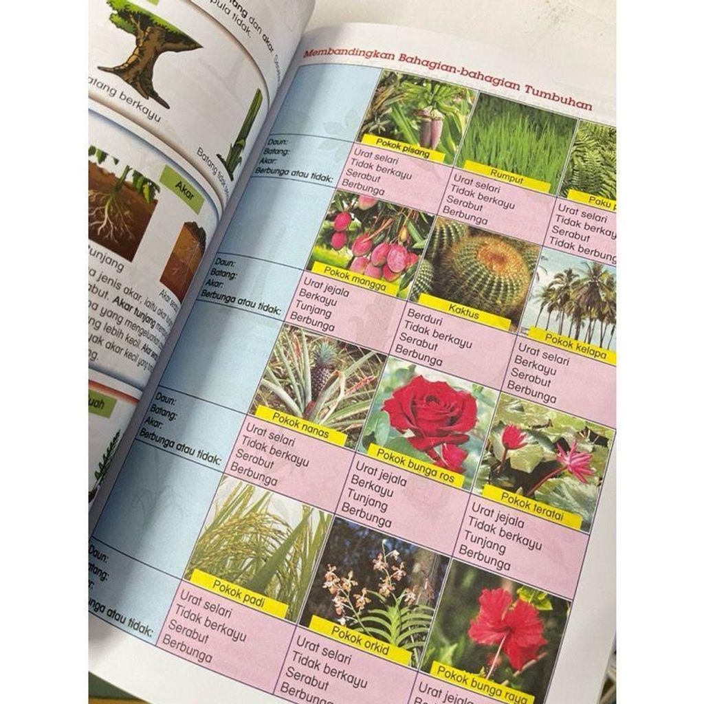 b13b9762582949be9a484365c5aee373~tplv-aphluv4xwc-origin-jpeg