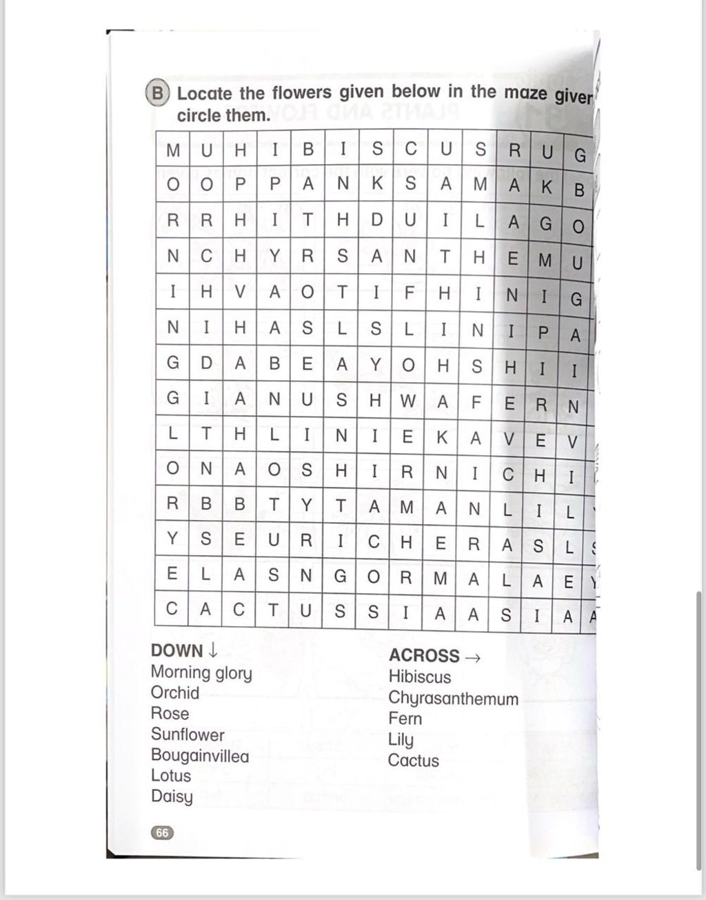 d7db4ec1b60142f4863e8d1c500977d5~tplv-aphluv4xwc-origin-jpeg