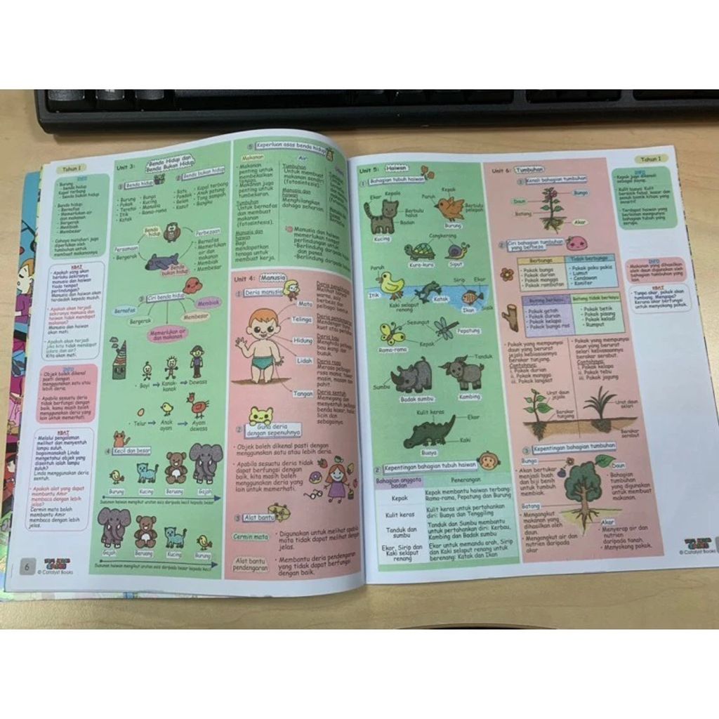 my-11134207-7rase-m6hsvtp9nlndf8