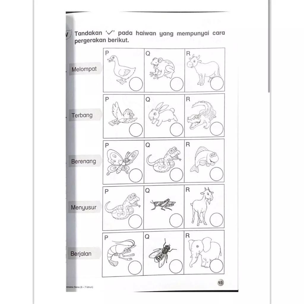 my-11134207-7ras8-m3zzrubuai0pbf