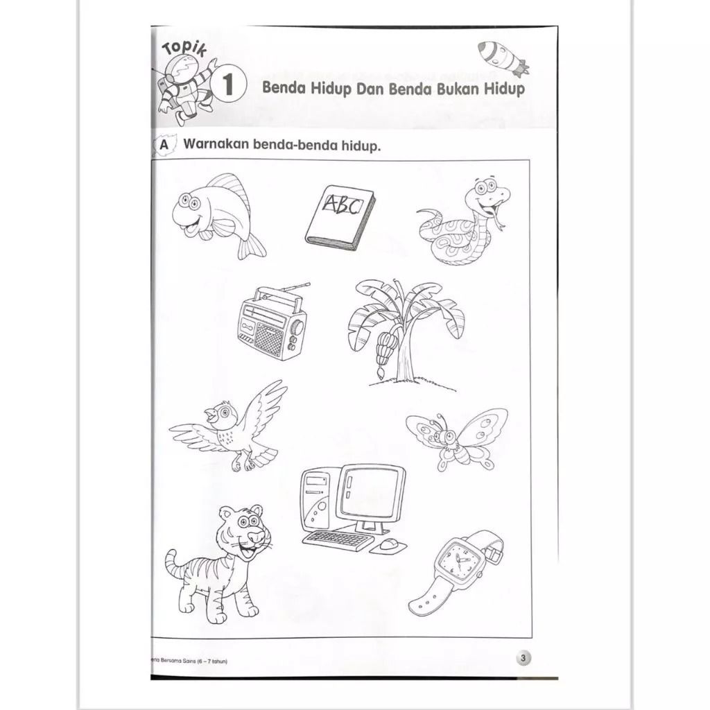 my-11134207-7rasa-m3zzrubuahll7f