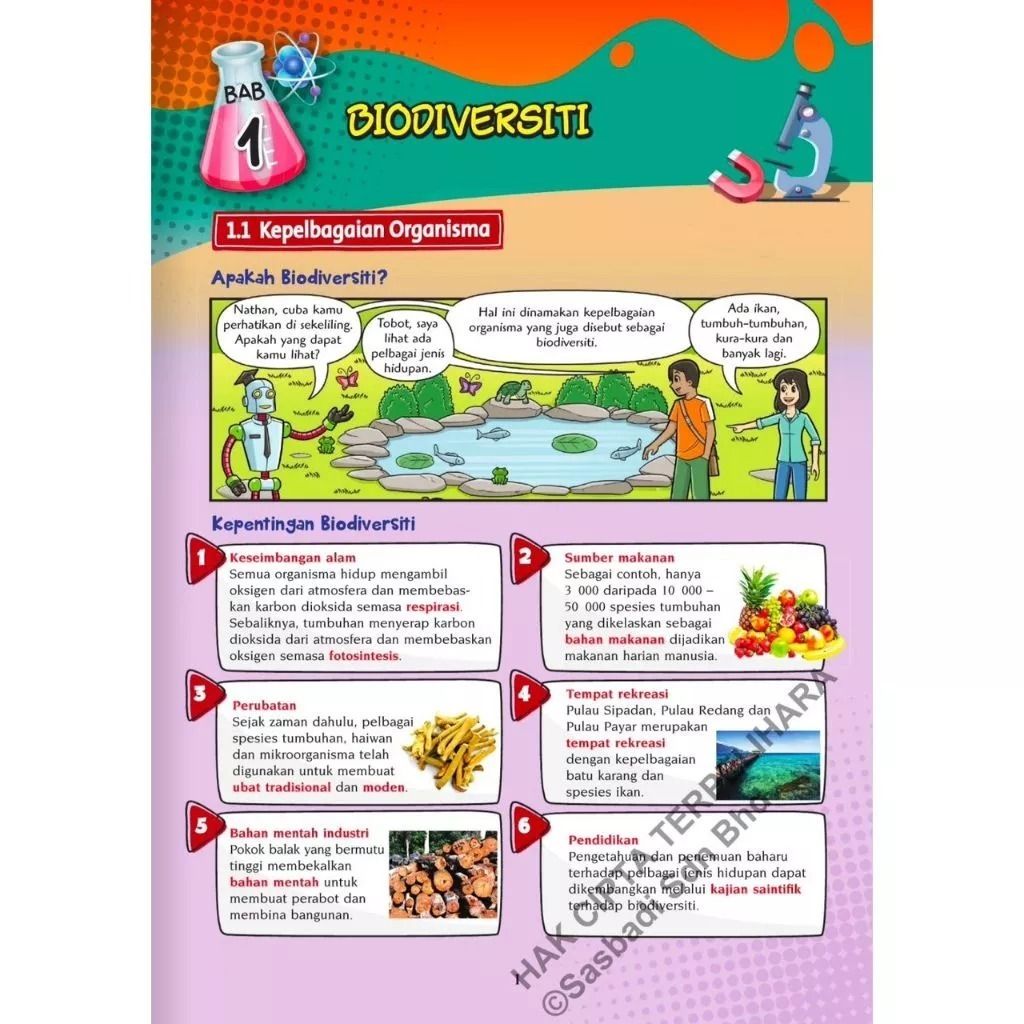 my-11134207-7rash-m3m7znje4062f3