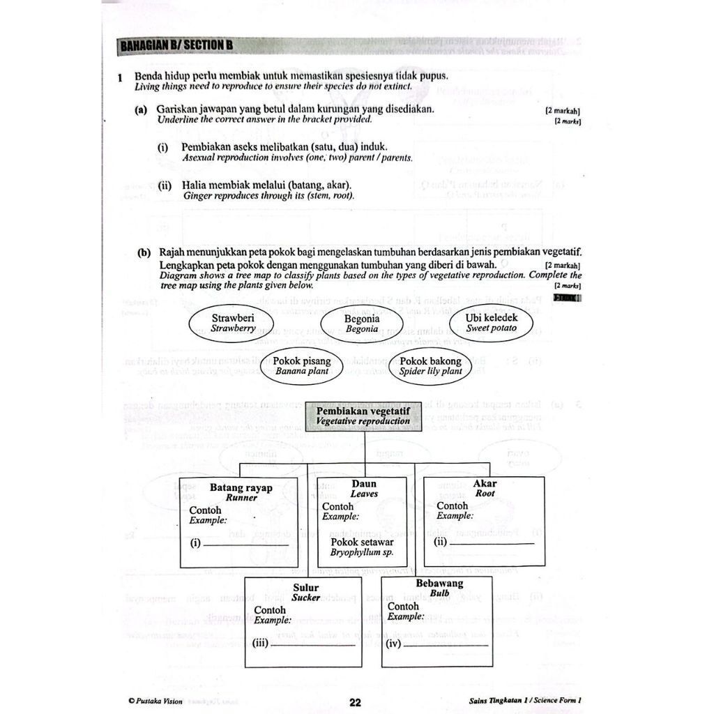 my-11134207-820la-mft7afxmrifid0