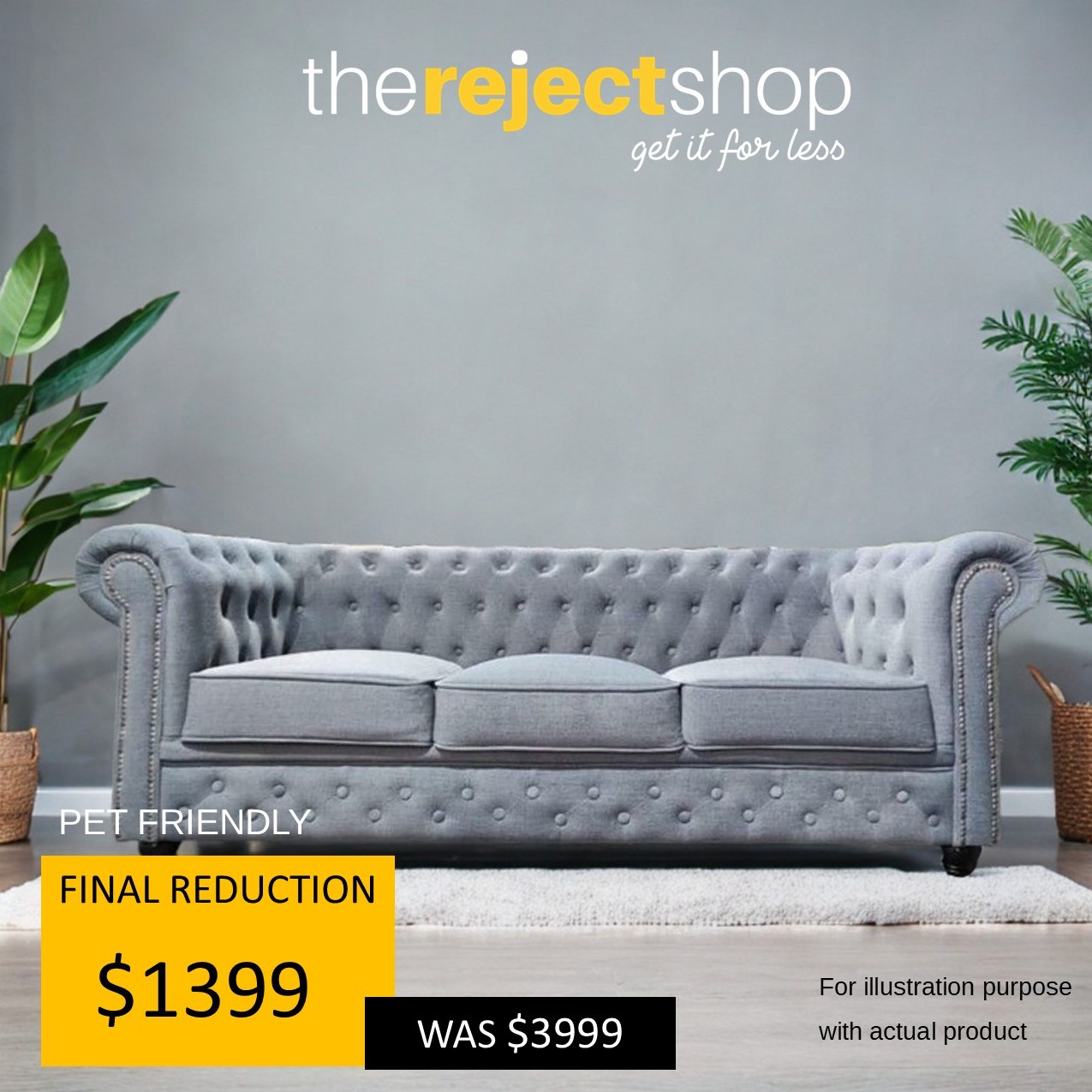 Pet Friendly Sofas