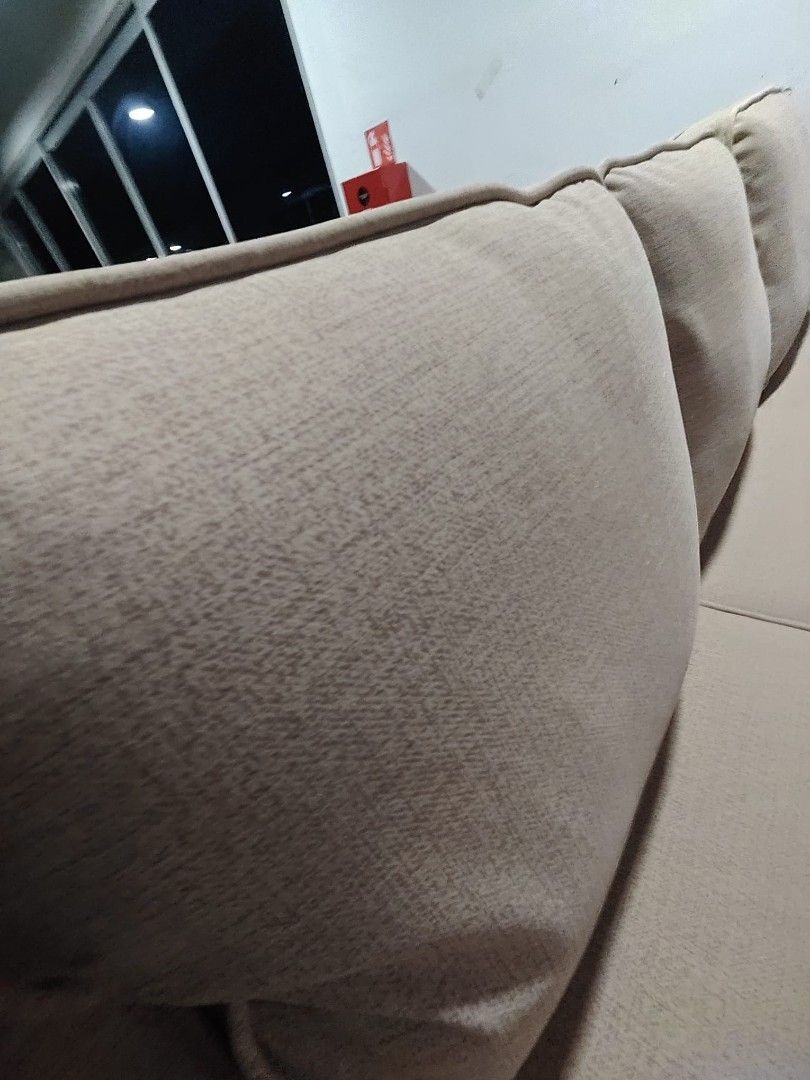 valente_pet_friendly_designer__1772787404_362b335a_progressive