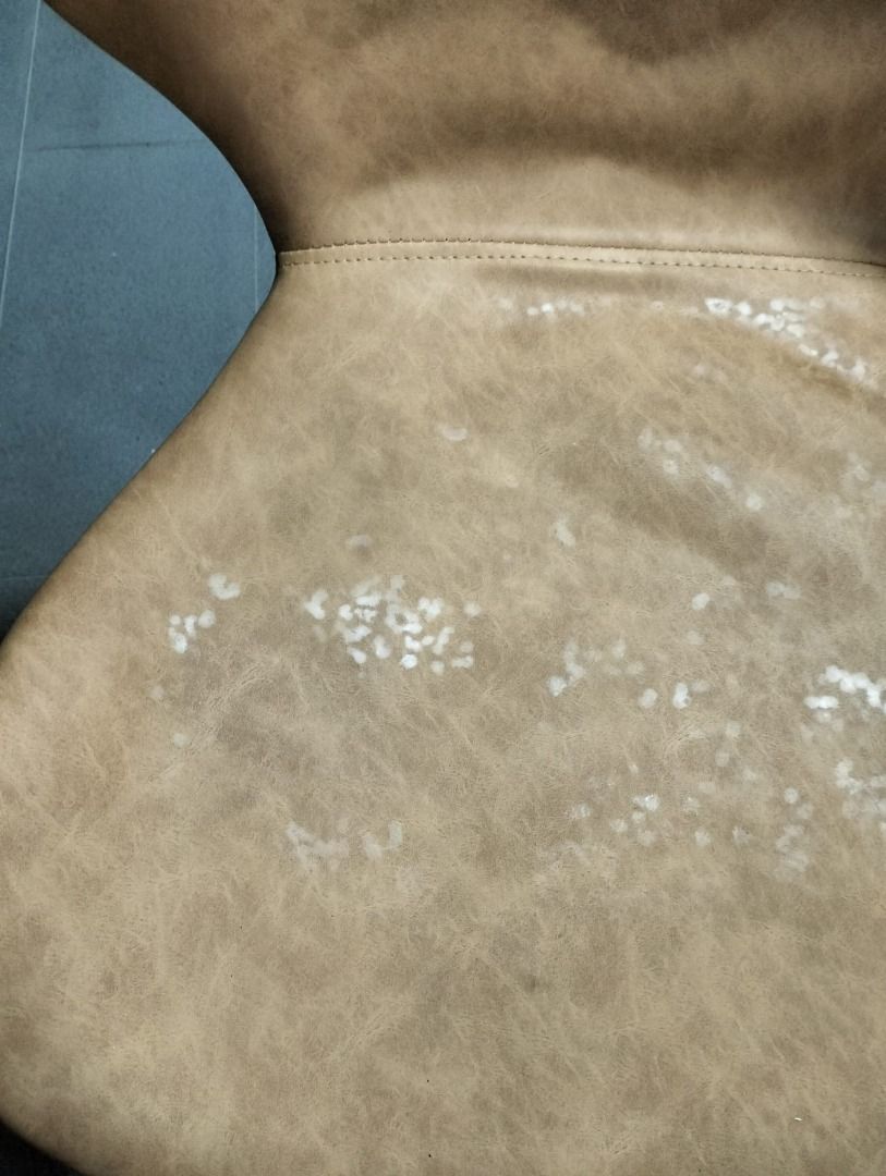 leyva_bar_chairs_set_of_2_1744354207_b1a652aa_progressive