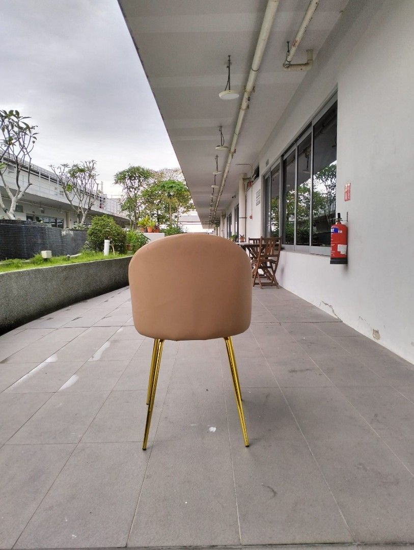 fermin_dining_chair_in_dark_co_1732632022_8bcb406a_progressive