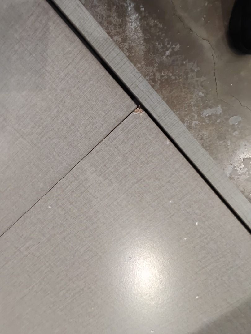 sterling_multi_storage_platfor_1760597961_c1725218_progressive