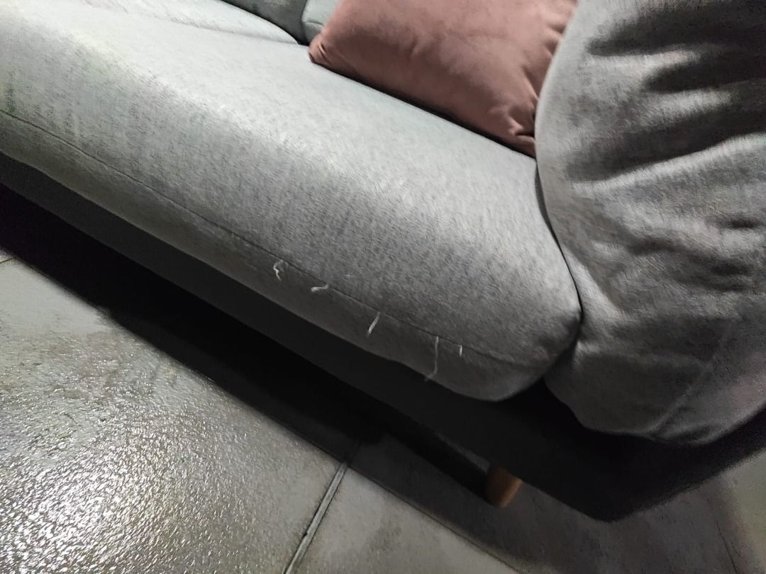 firouzja_3_seater_sofa_1765267671_9739c436_progressive