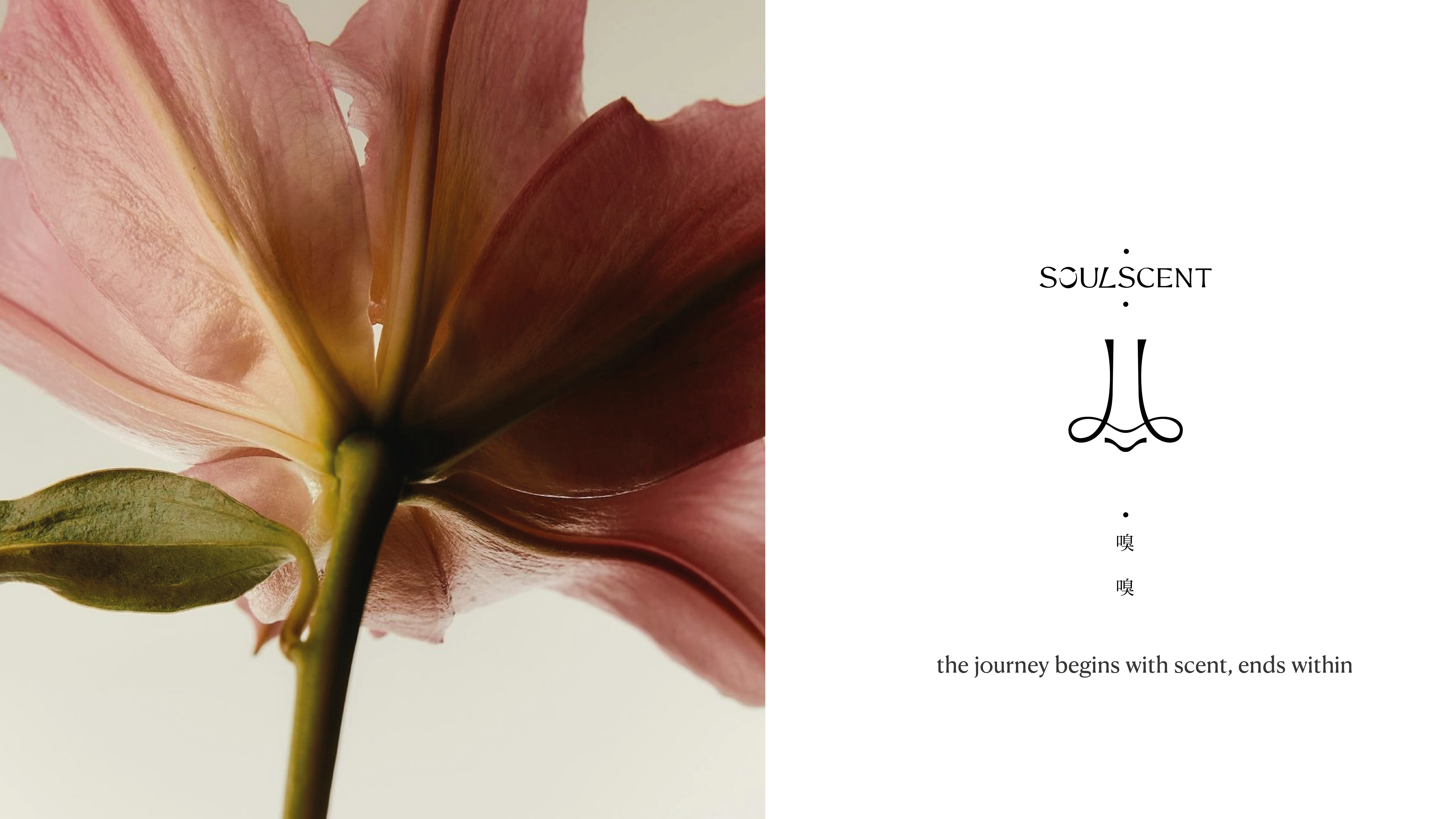  | 嗅嗅｜SOULSCENT