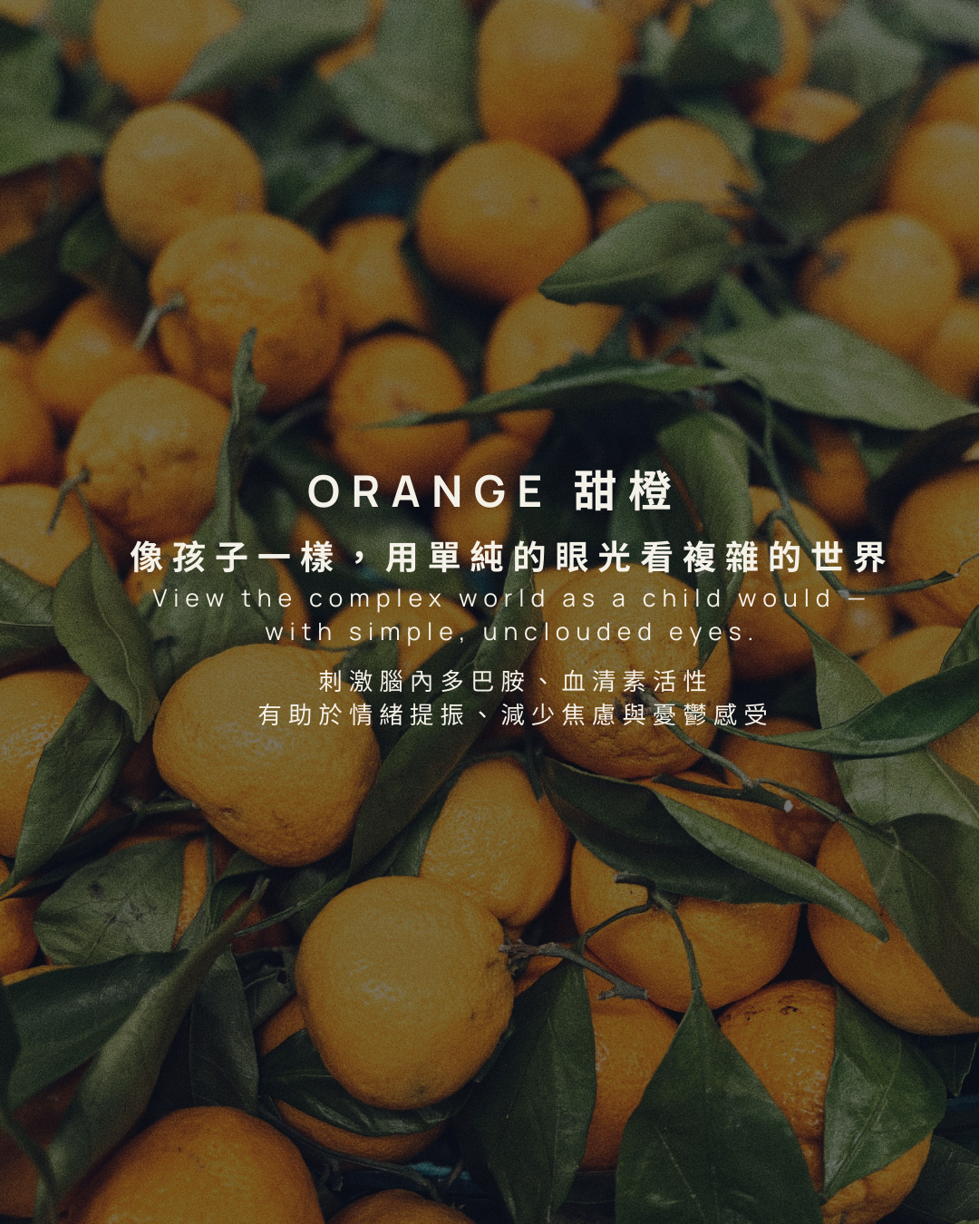 憑直覺截圖 選出你的 降噪氣味