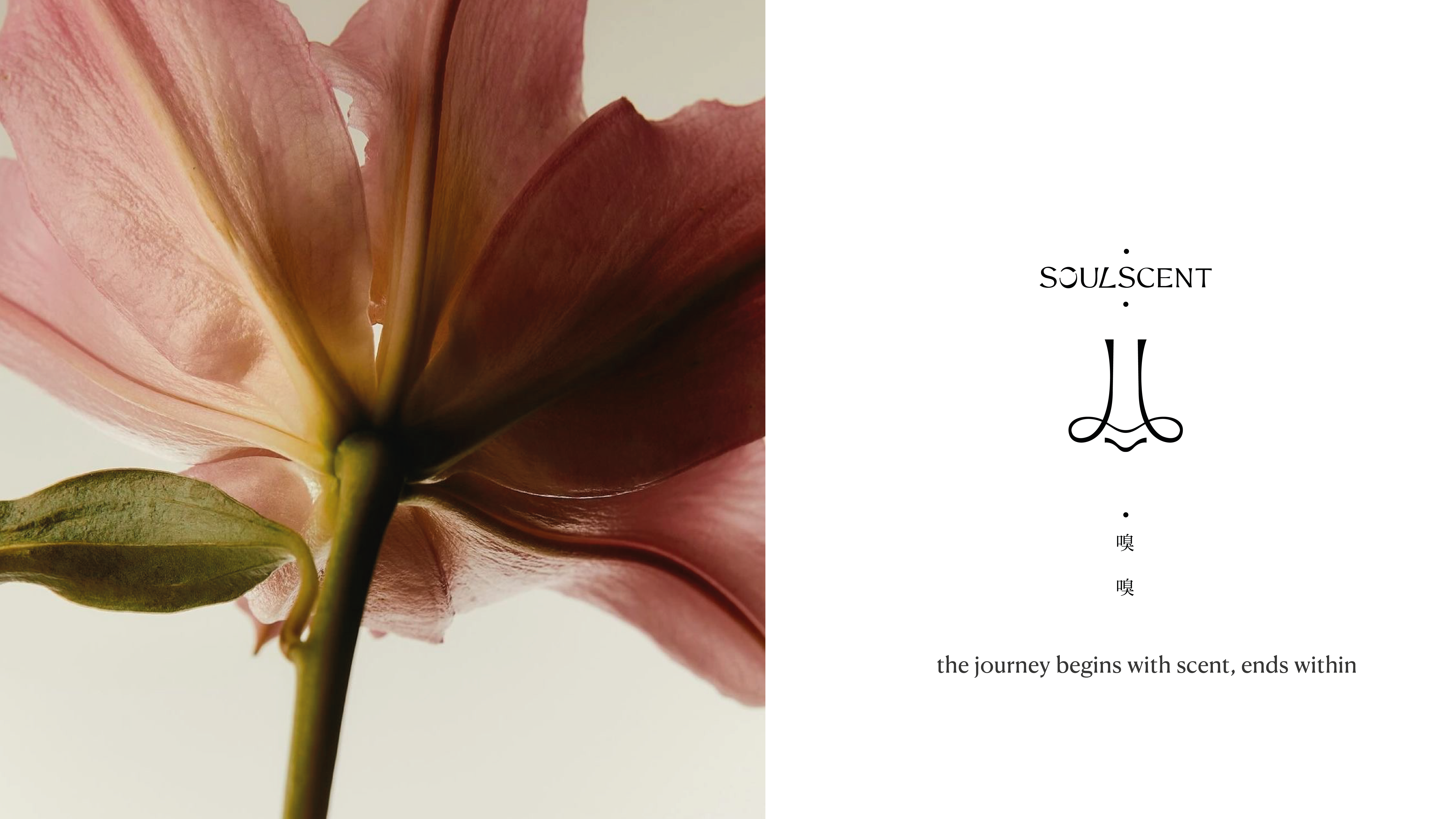  | 嗅嗅｜SOULSCENT