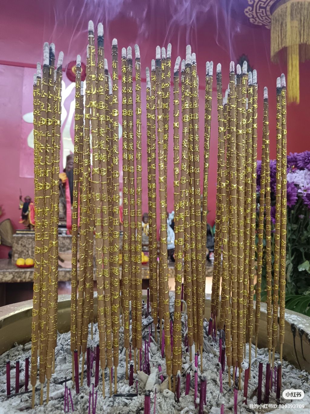 XHS_XHS_1725602857932_0692c176-6a80-4426-bce7-b3e299b1c1c231725603607914