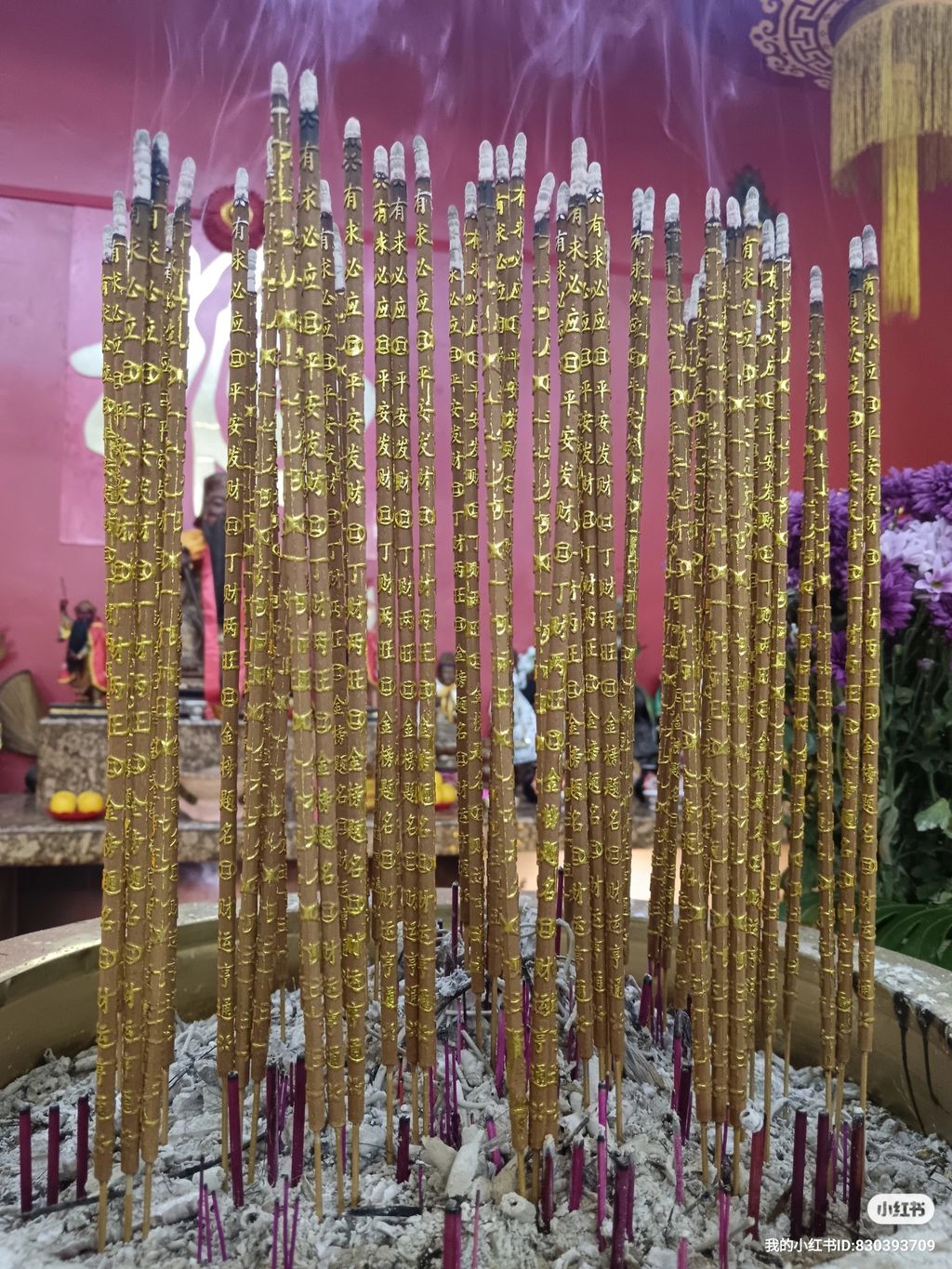 XHS_XHS_1725602857932_0692c176-6a80-4426-bce7-b3e299b1c1c231725603607914