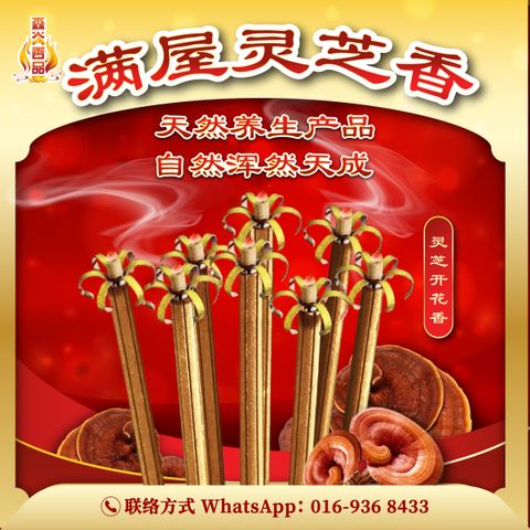 满屋灵芝香