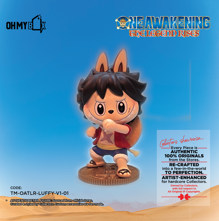 MonkeyDLuffyRM69