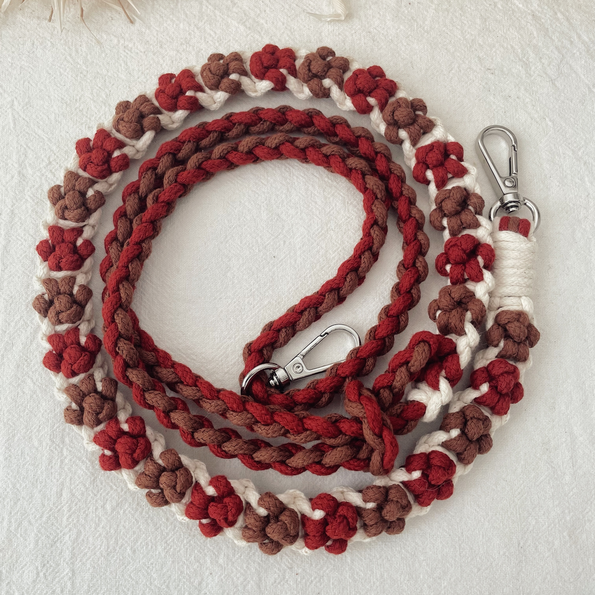 照片 2024-11-14 12 36 20