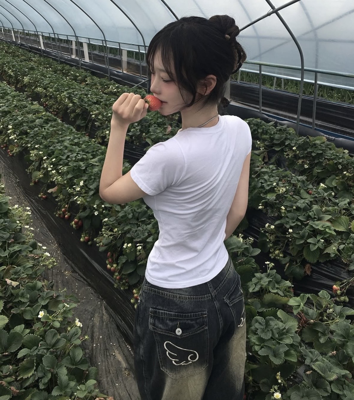 image_380DB0D9-753B-4AC7-9A77-394B67C985C4_1773644652