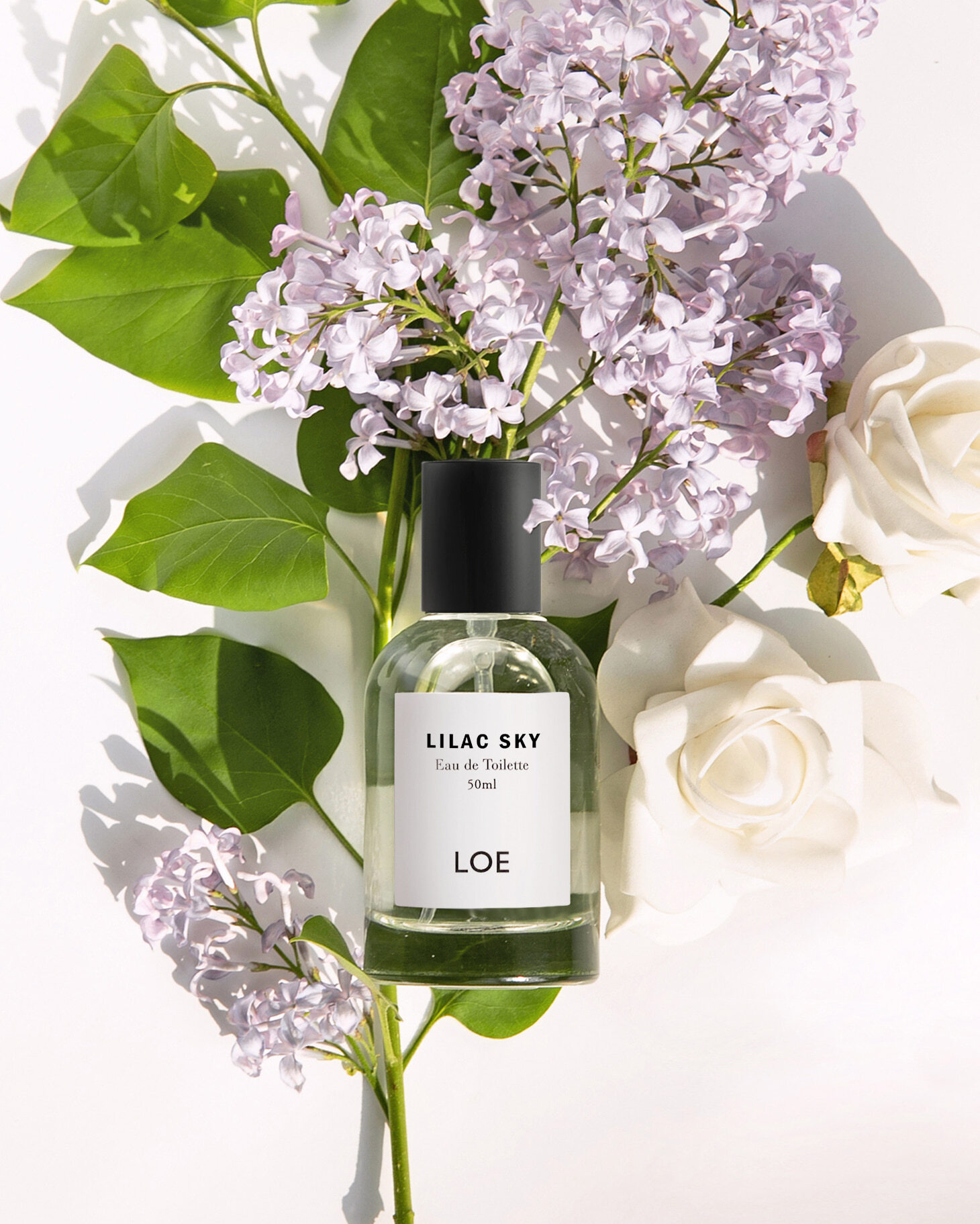 image_BFB550B9-853E-413C-BAFF-4E0EEB198FE0_1775719716