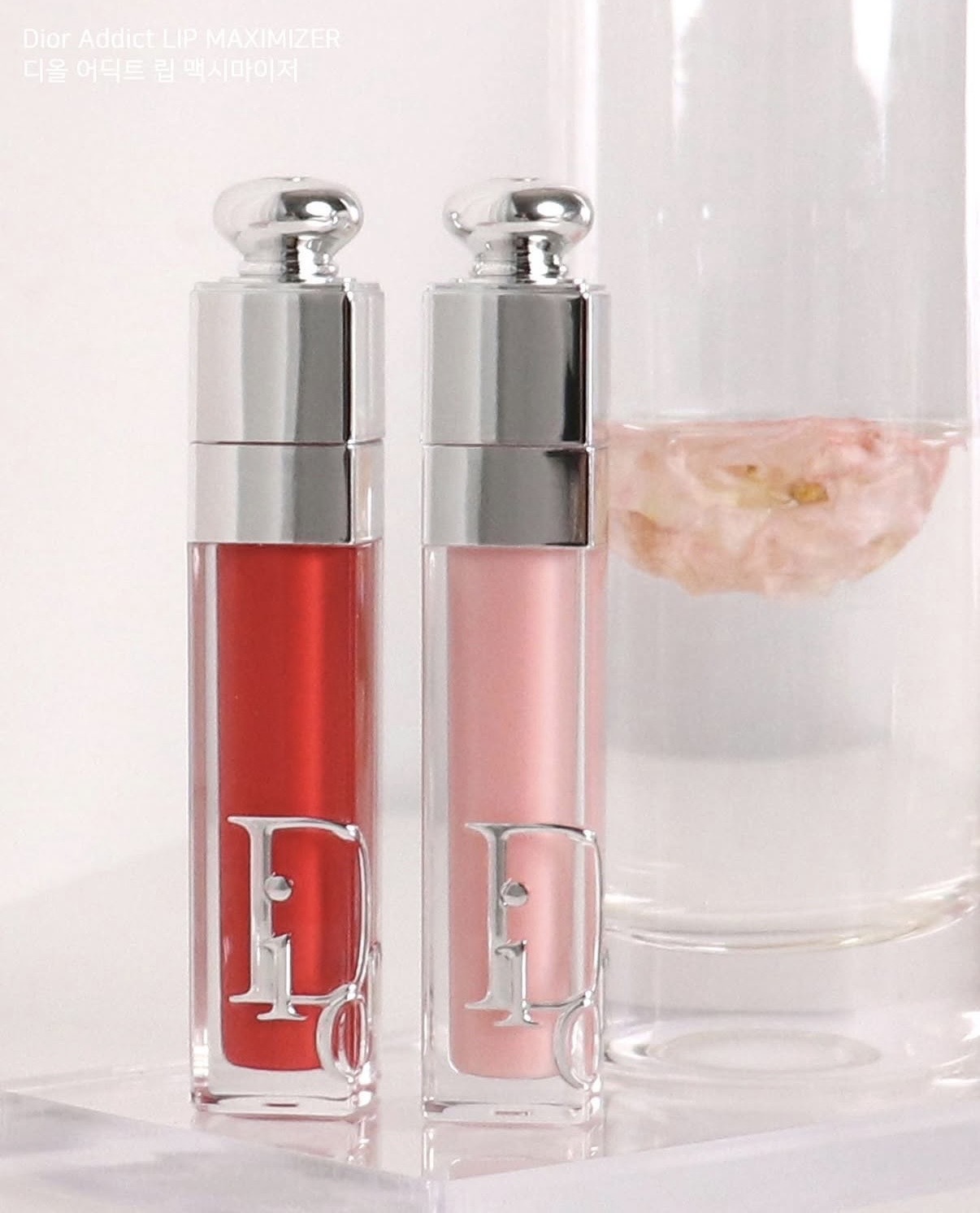 image_A01A3289-9F48-4FA9-A592-17B39EDCCD0B_1776091906