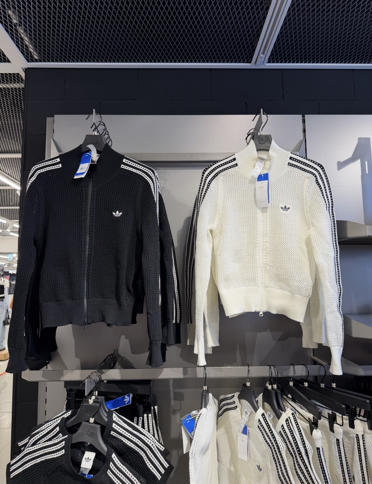 image_2048ABF7-828A-4A38-BE4F-DFDD4F7AEFDF_1776414484