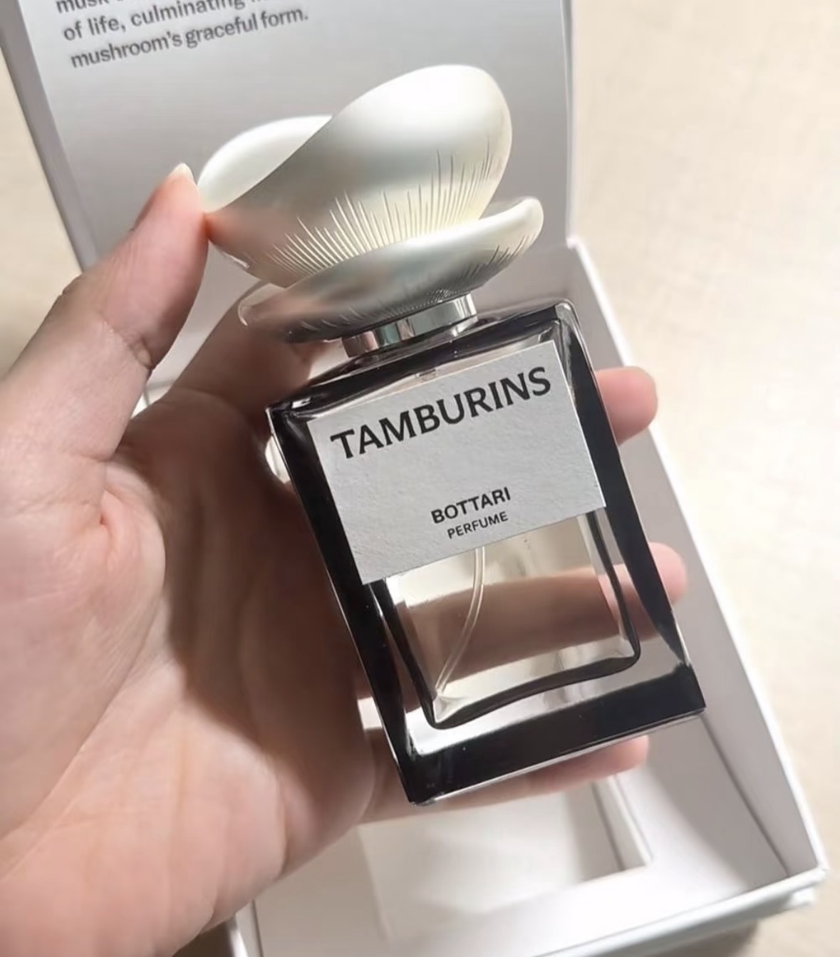 image_5D0A2469-2FC7-47D7-ADBD-7C0EE8FF60A4_1776416101