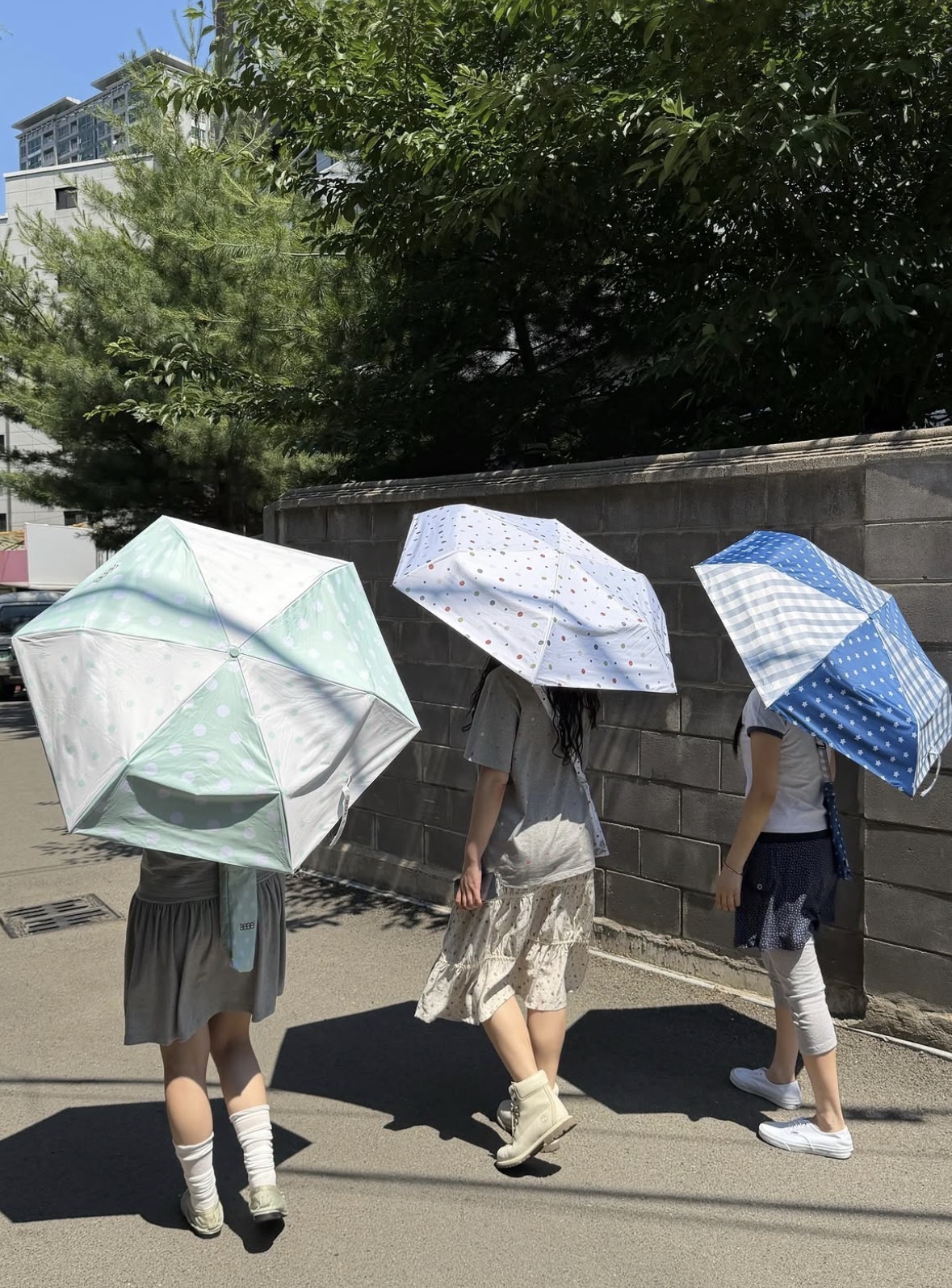 image_7F9D797D-7865-493C-AA89-645055F92A92_1782460940