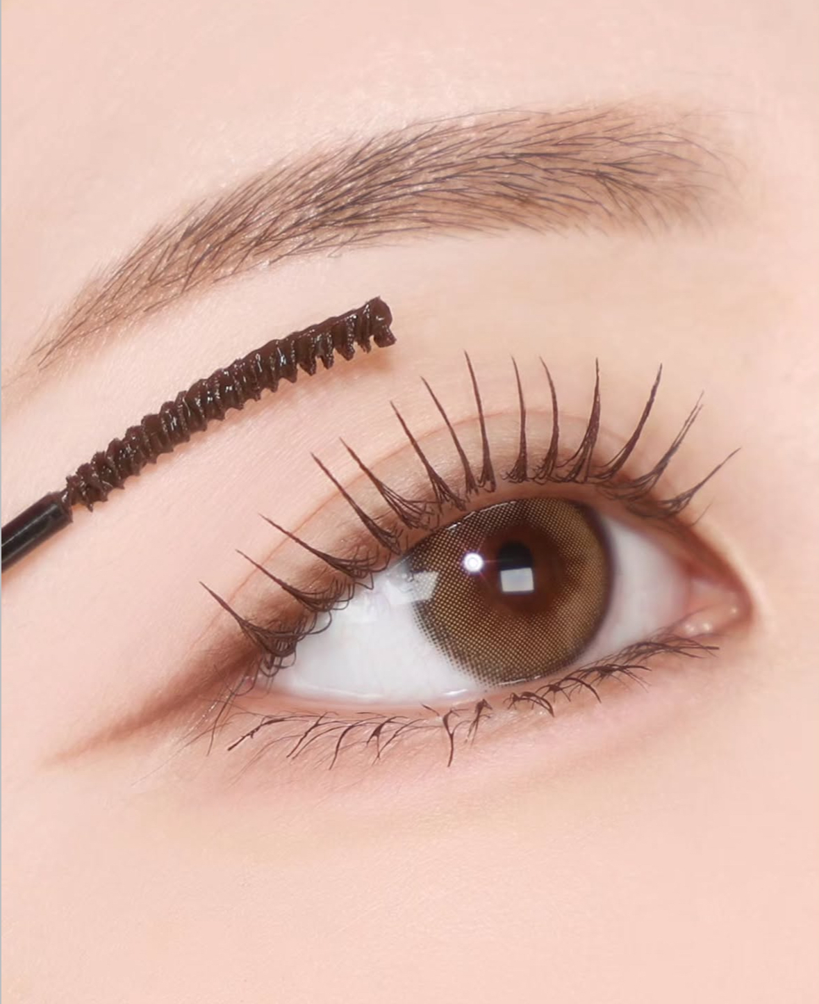 image_D6E500F8-46C2-4F91-B280-FF1DD62F27FF_1756618002