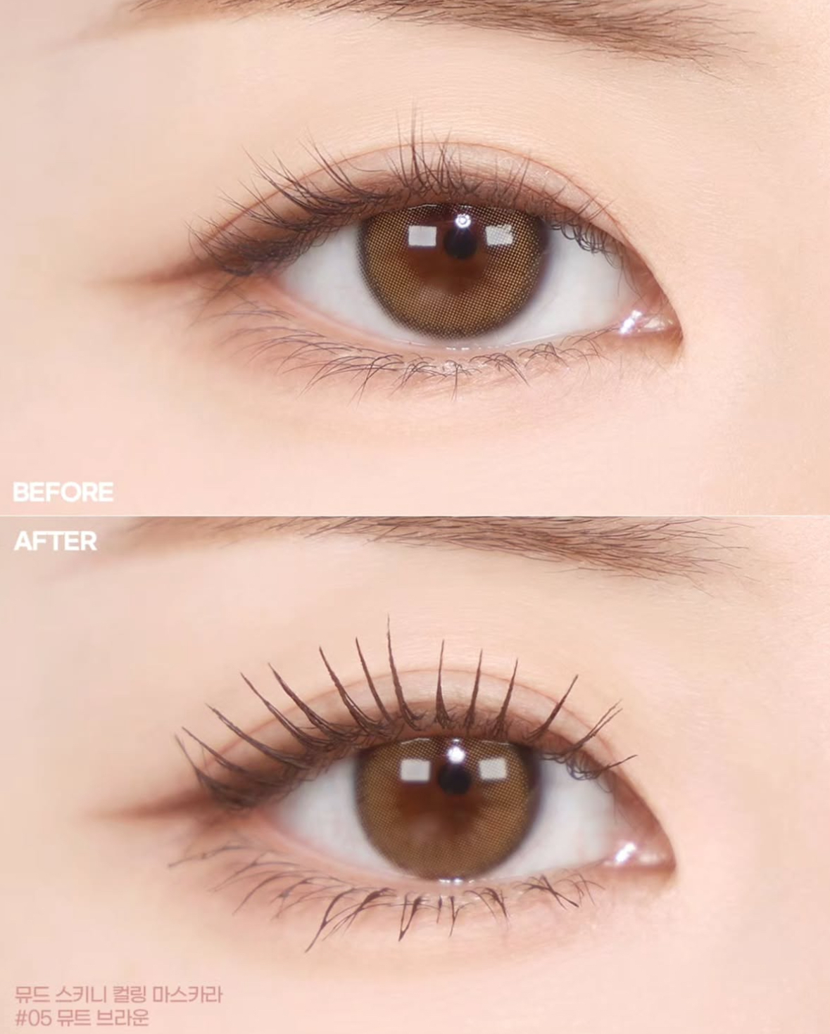 image_BD7257FF-4F2F-4B91-A7C7-975BA36790E5_1756618002