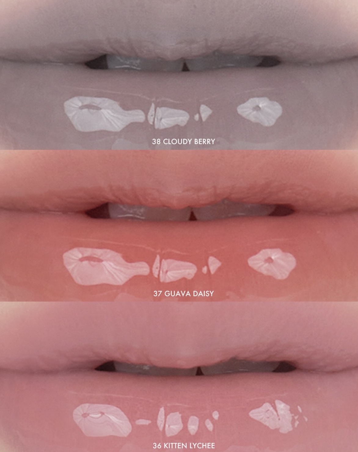 image_D90B42D1-8396-4379-BE8B-3E550E595448_1761835059