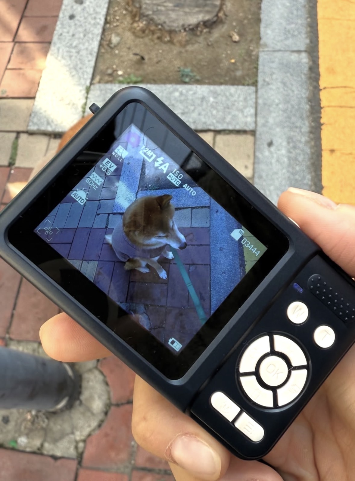 image_86A7F99A-FB97-4679-B021-DFA2B9600094_1761895263