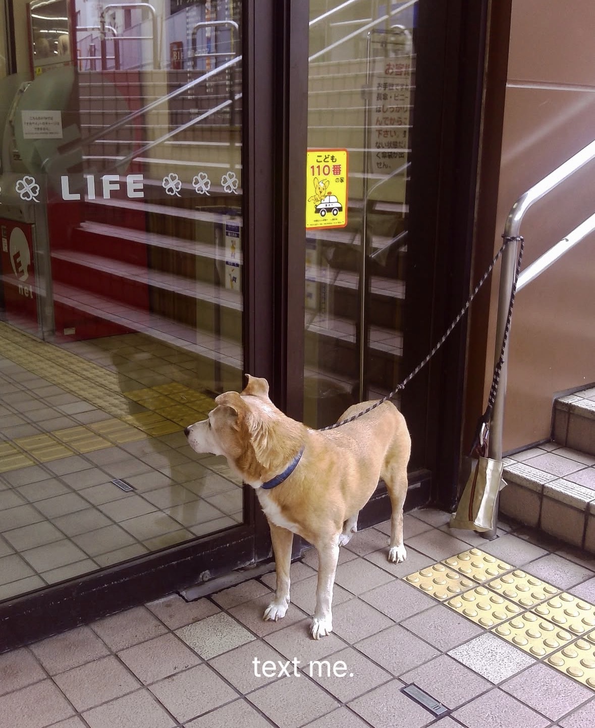 image_A2DA656D-60DA-499B-87A3-9284681D56B3_1761895263