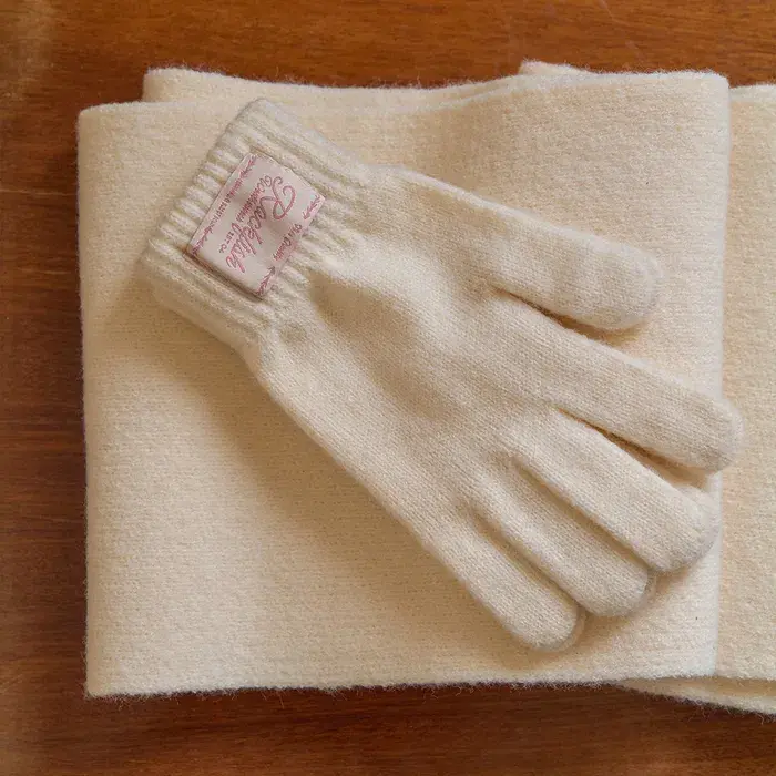 image_3C223DBE-F5C5-43C7-8EC3-0FE7EC39CE89_1762244187