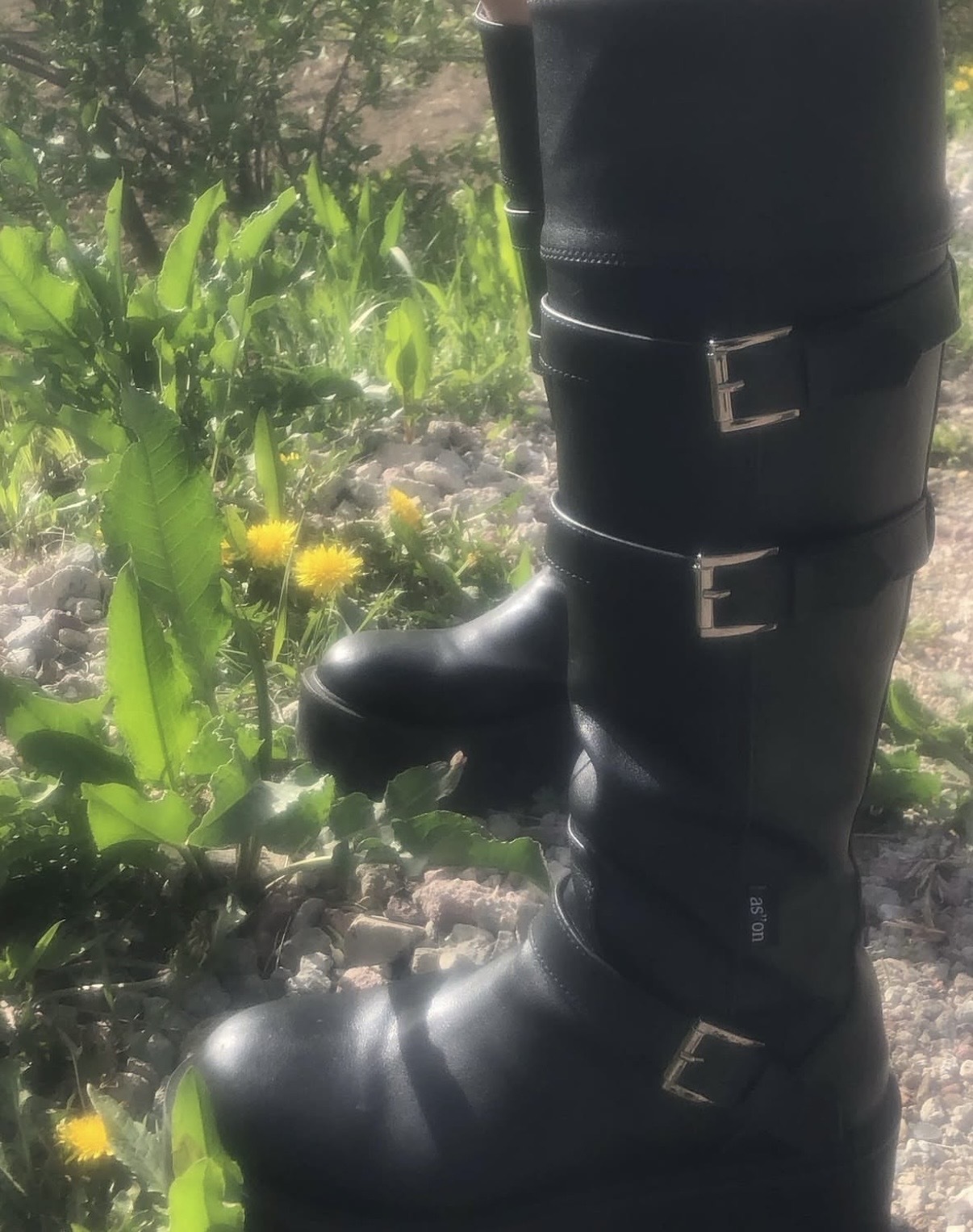 image_3A010353-E79F-4B1E-B47E-3A2DCEF81C7E_1767082710