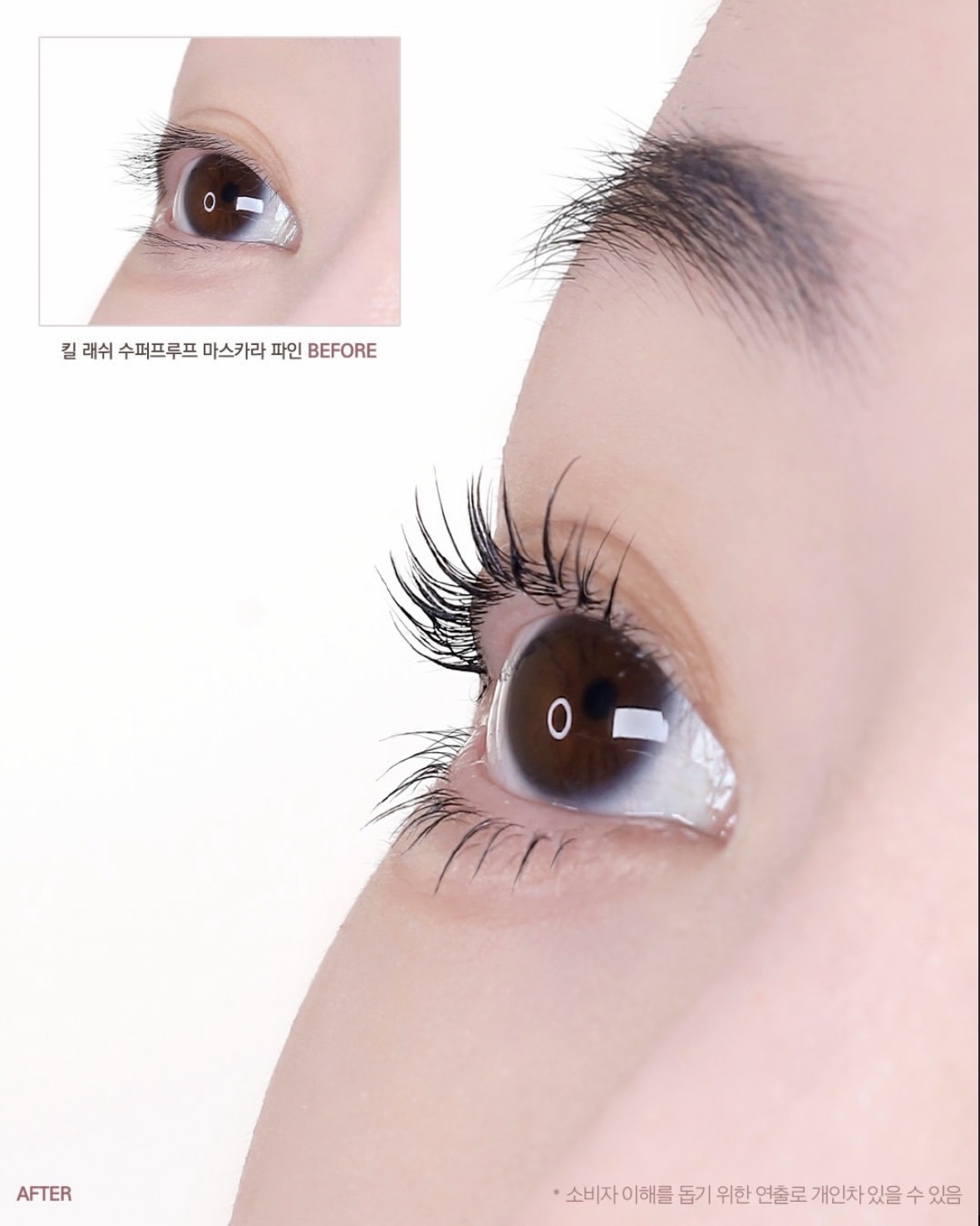 image_A536404A-2801-4CCB-87E2-6AE1D2879DB7_1767111262