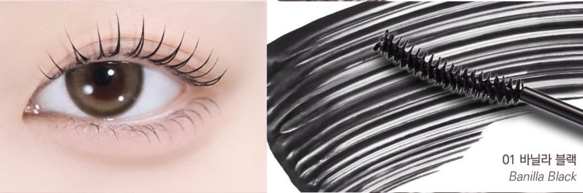 image_F7F79596-ABAE-4293-86F4-82D365DF1D71_1767111376