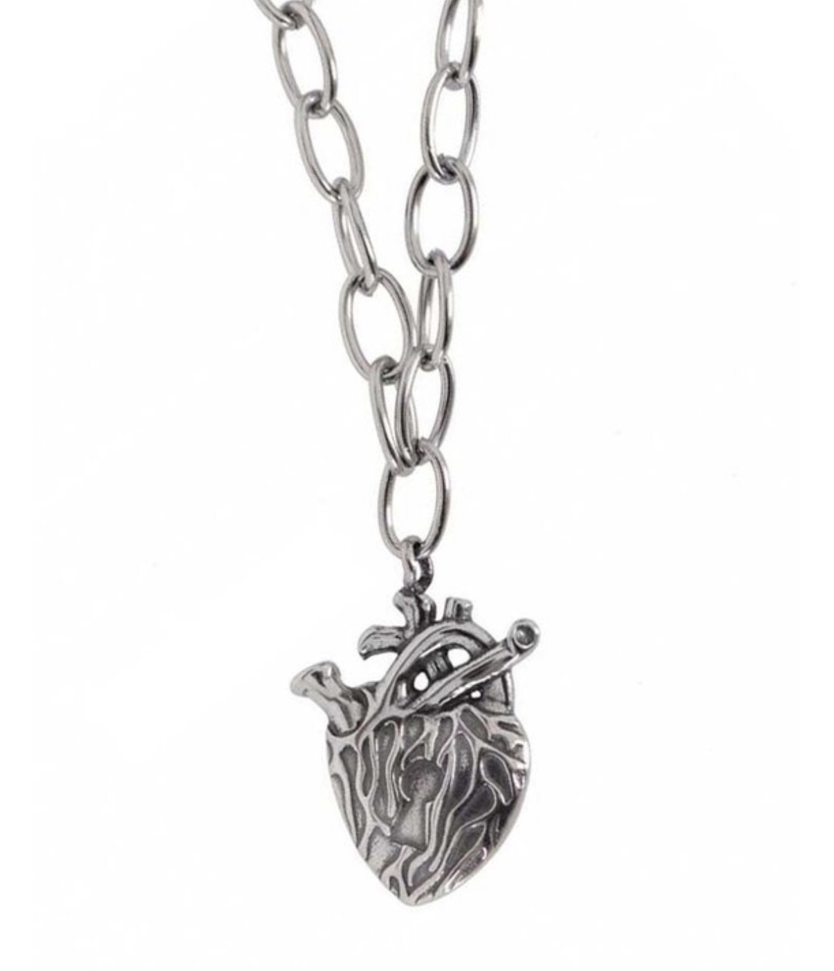 image_46E2C09D-DB68-4E55-B22D-8C013356F4A3_1767939622