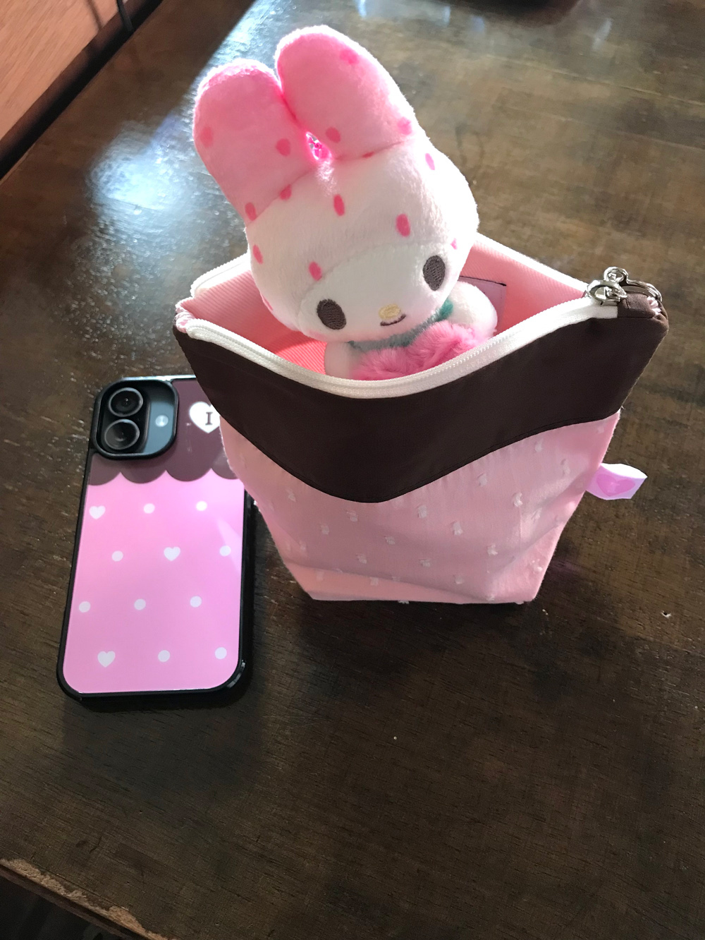 image_6B81C3F9-D575-4A4C-82E4-4DCF60CED079_1767947962