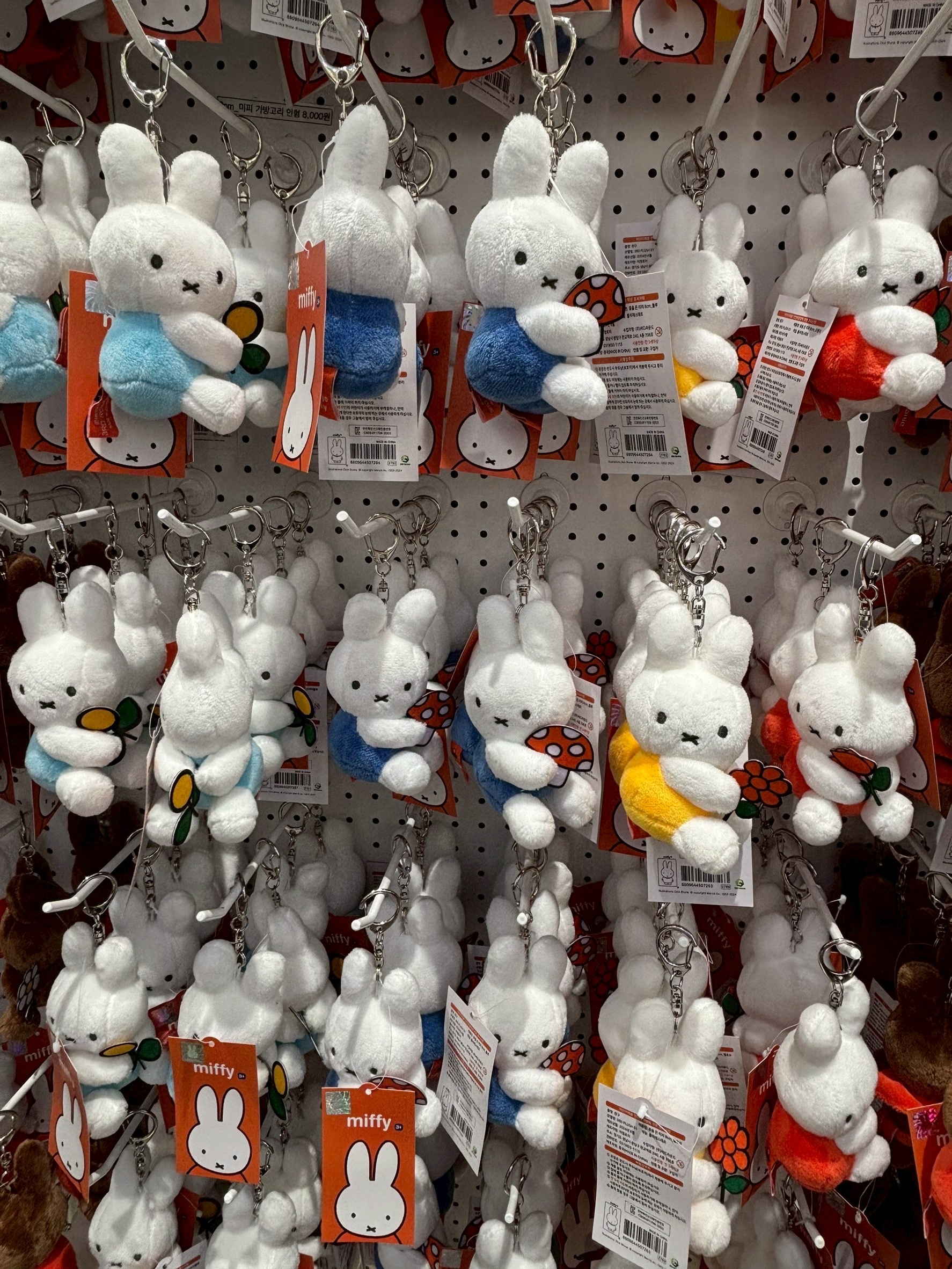 image_C9F727BD-0FC6-4E46-952F-6857C1858FC9_1768288495