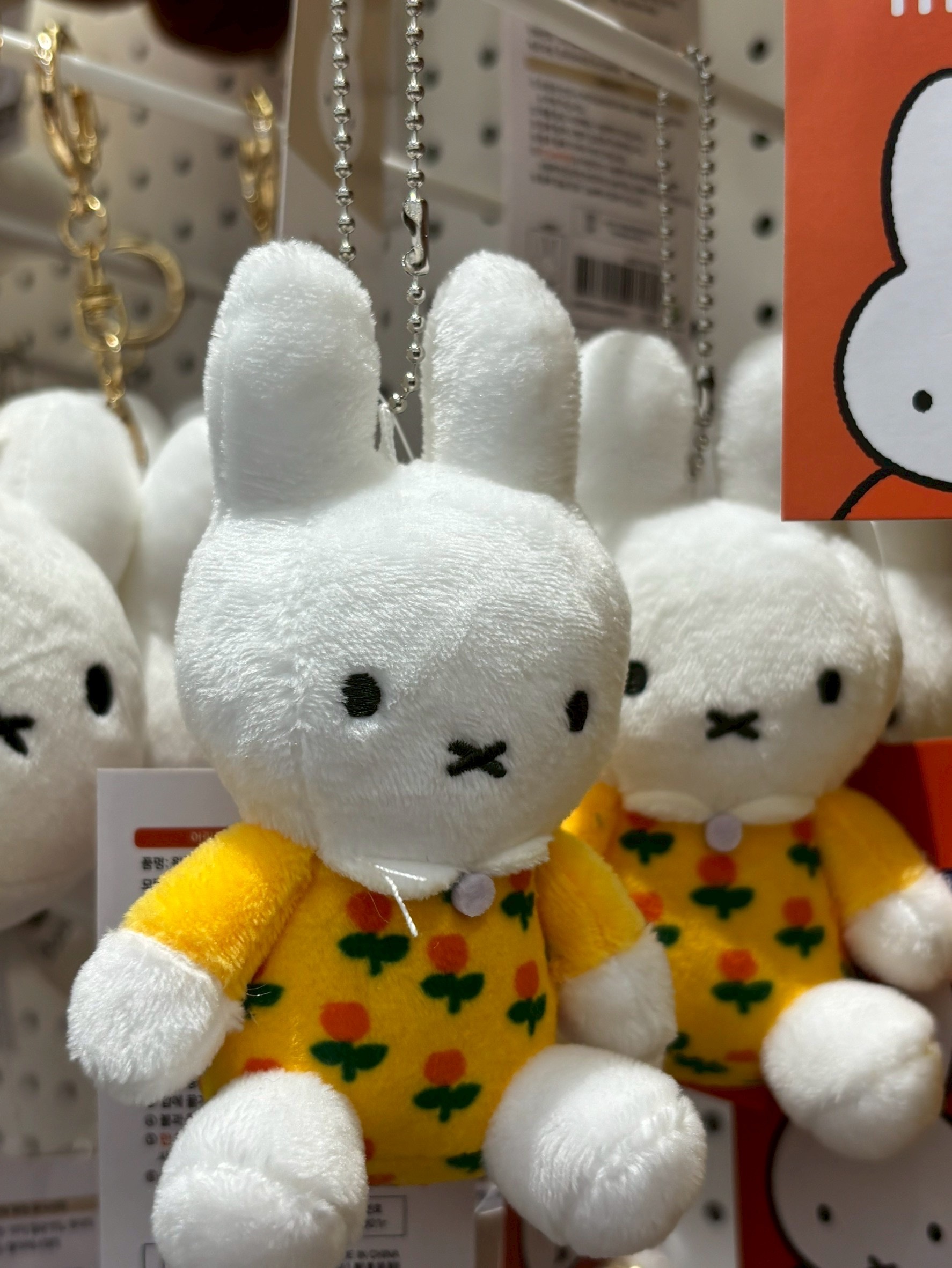 image_8099B6B0-7CC6-4EAB-BDCB-643A9D173330_1768288495