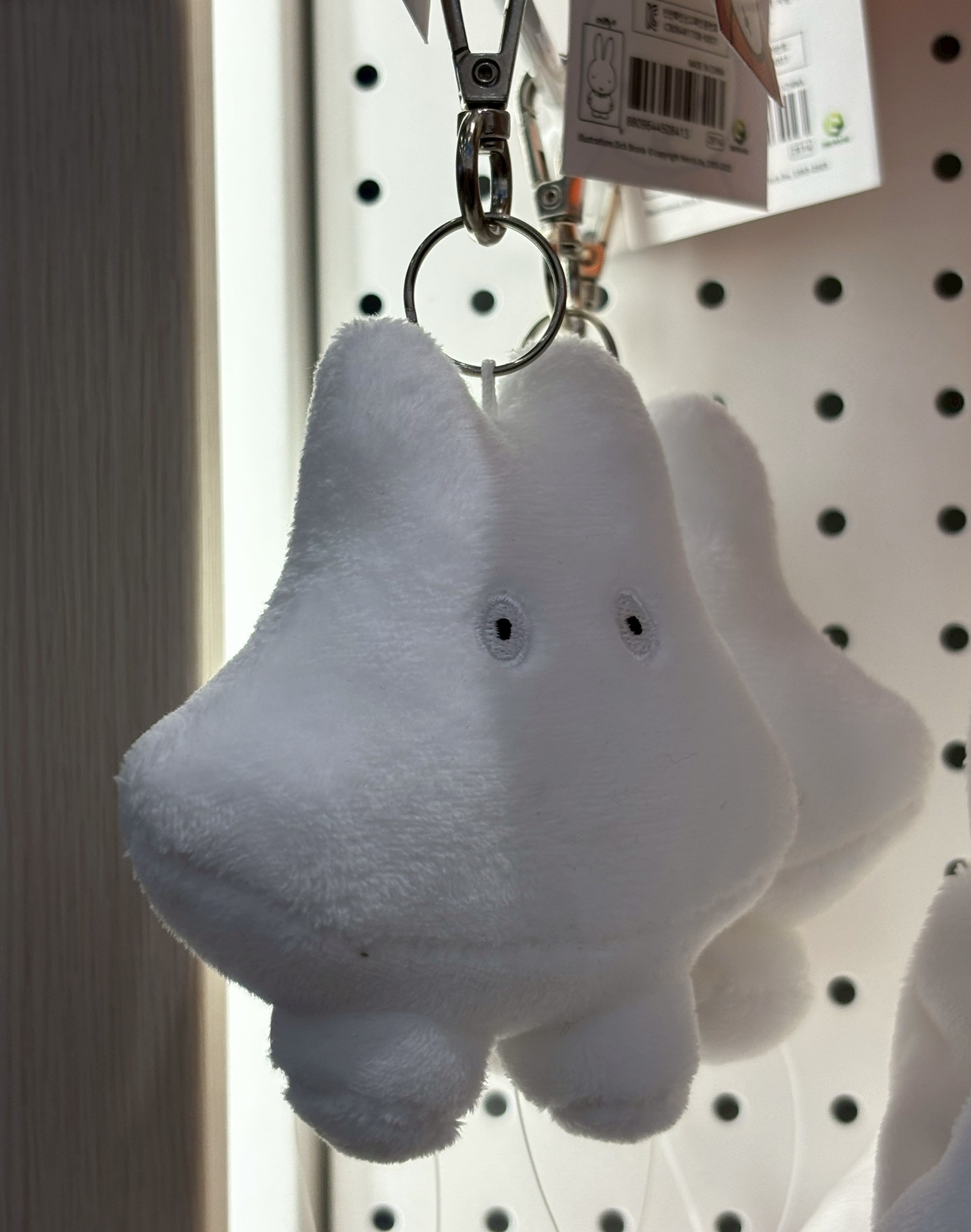 image_B2A8C937-3F51-49B3-A691-6C6ADA4420FA_1768289042