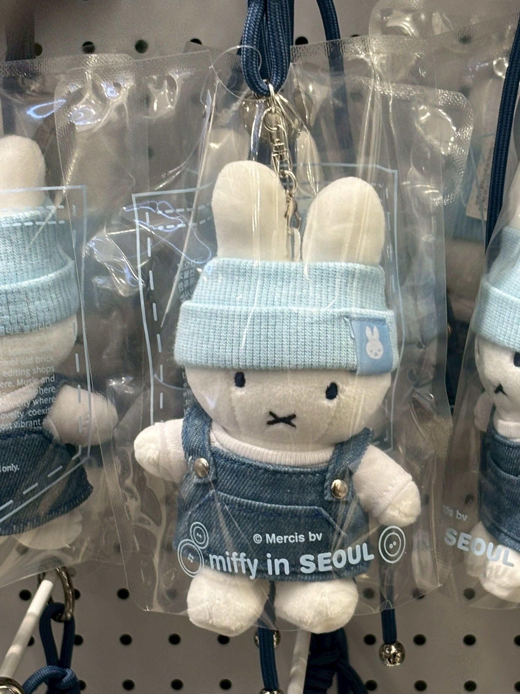 image_E3B5E878-27F1-4A86-AB74-6E20711B5AAA_1768289289