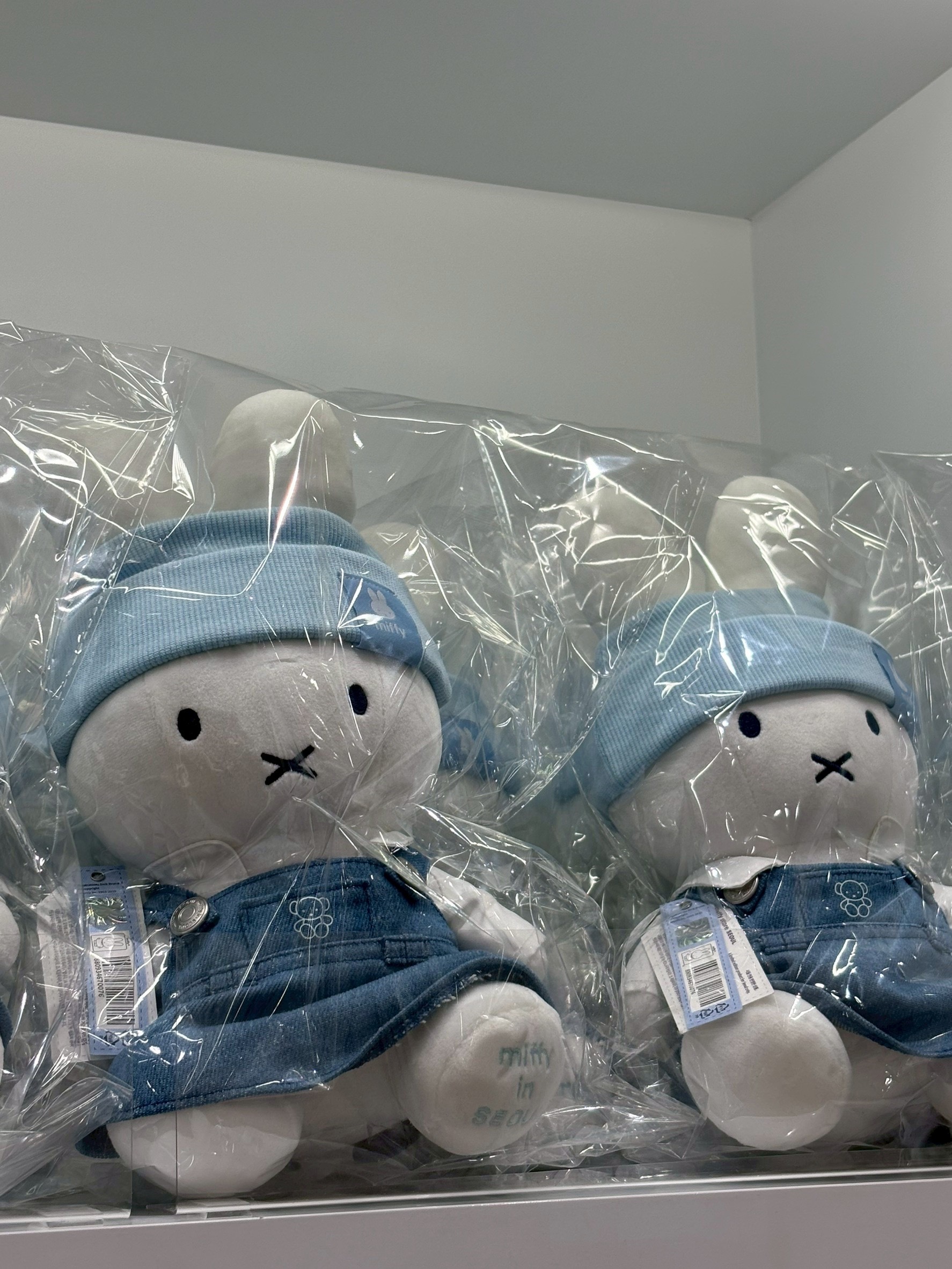 image_A2323C36-B162-4118-8267-7D33CE2D5598_1768294843